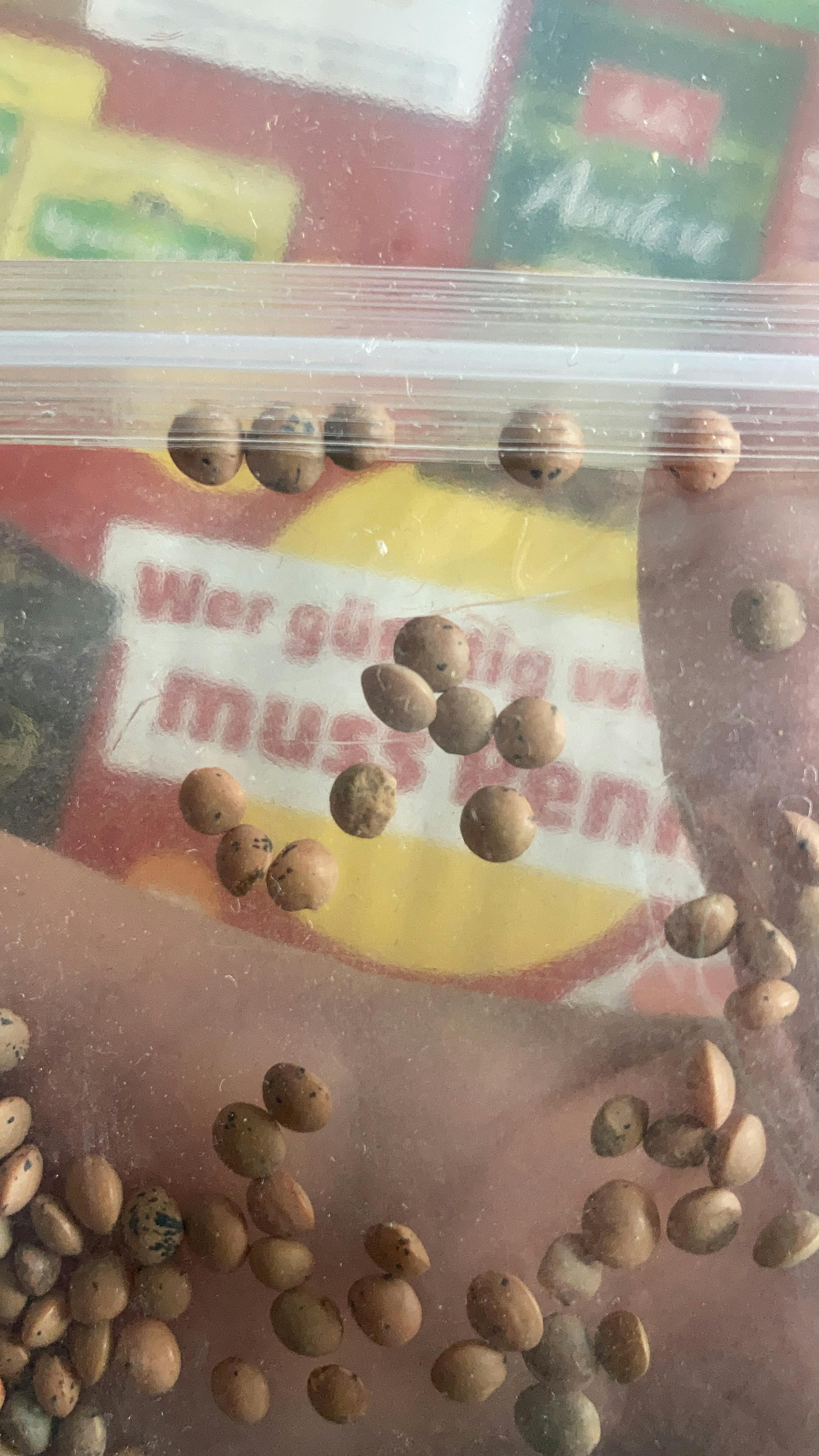 un sac en plastique rempli de graines est assis sur une table