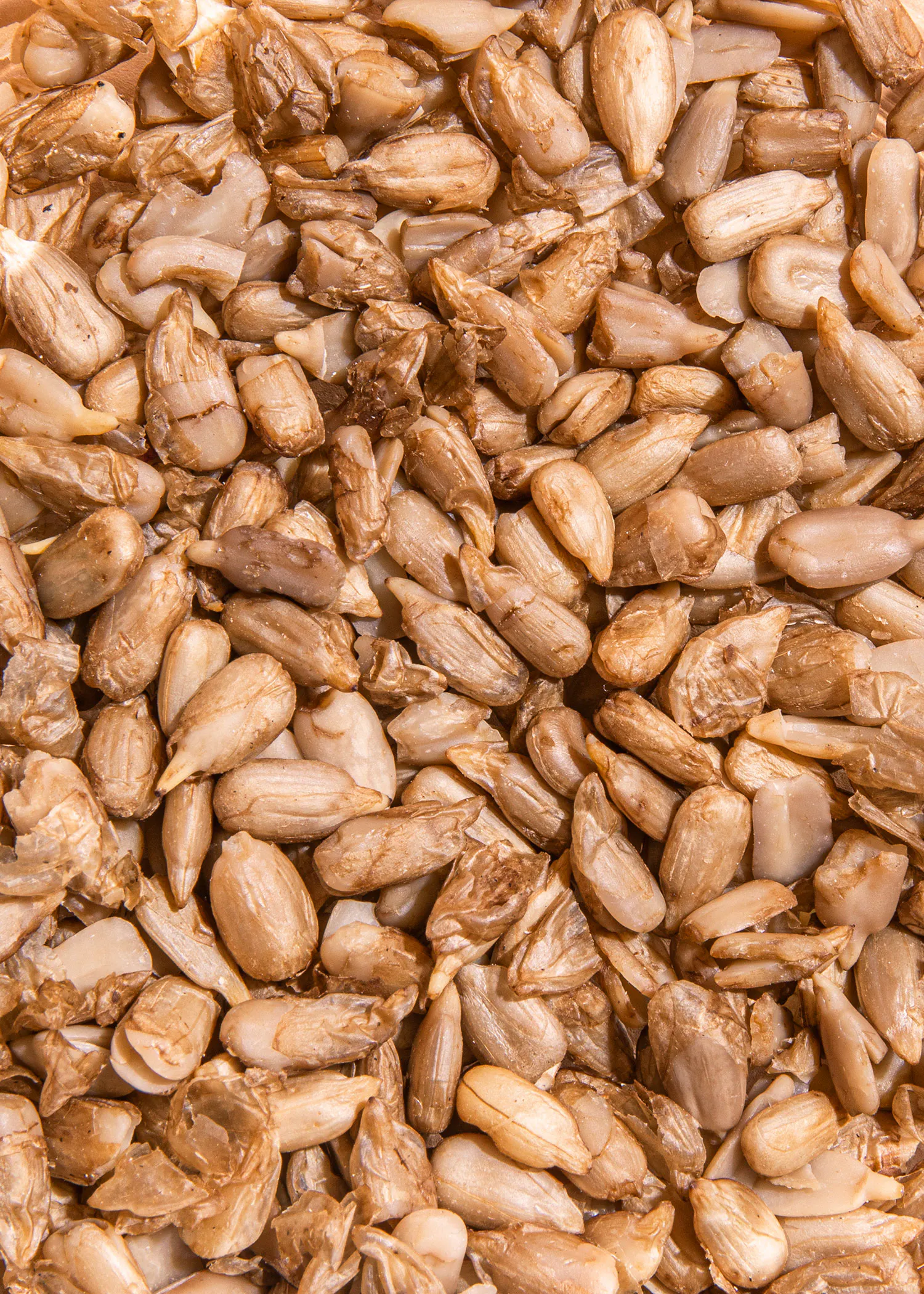 un gros plan d' un tas de graines de tournesol séchées