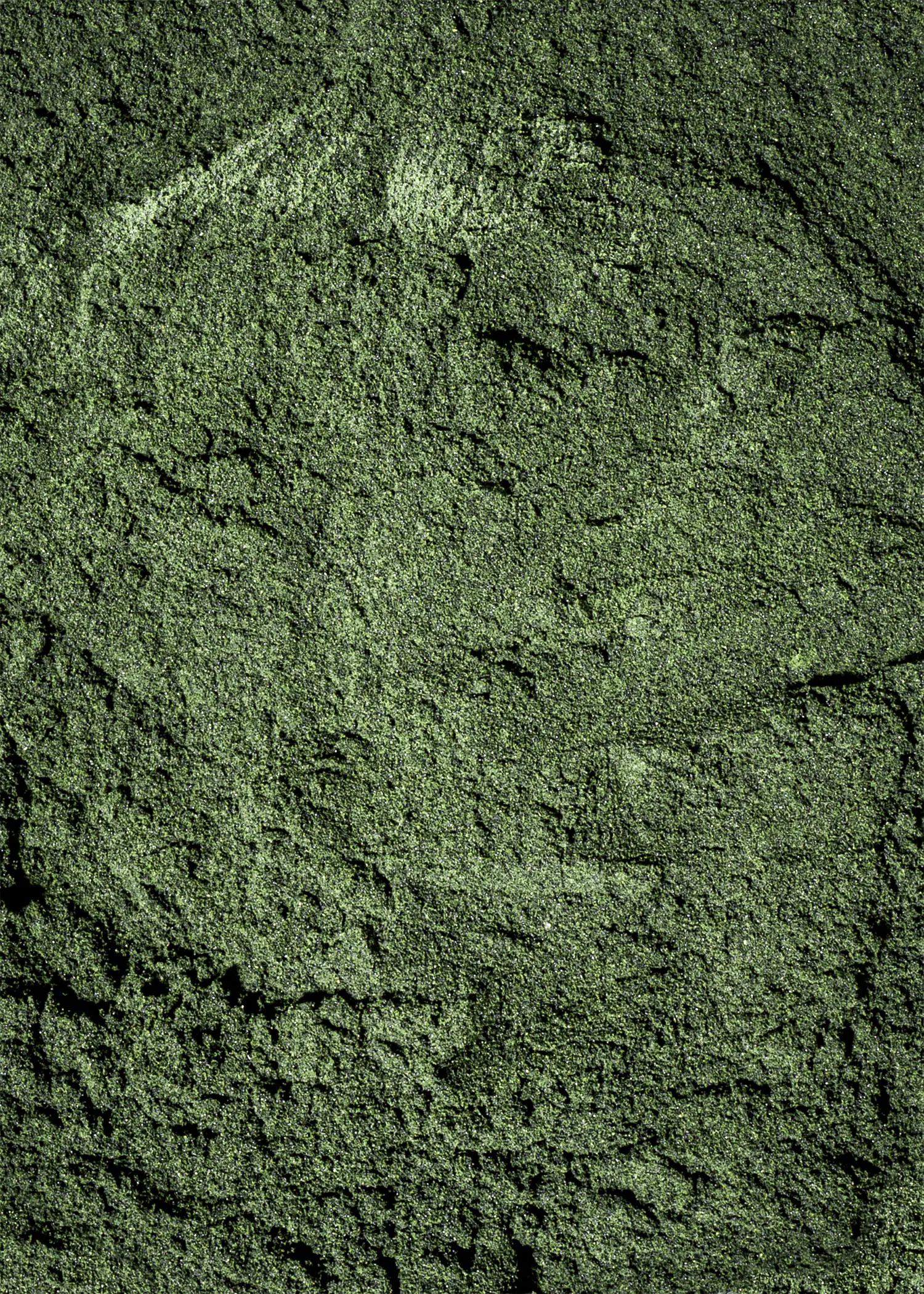 un gros plan d' un mur en pierre vert