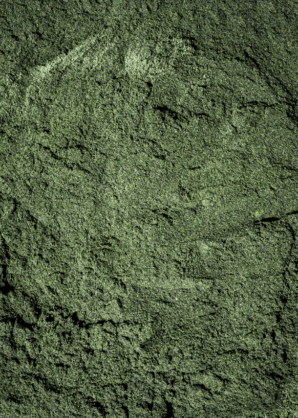 un gros plan d' un mur en pierre vert