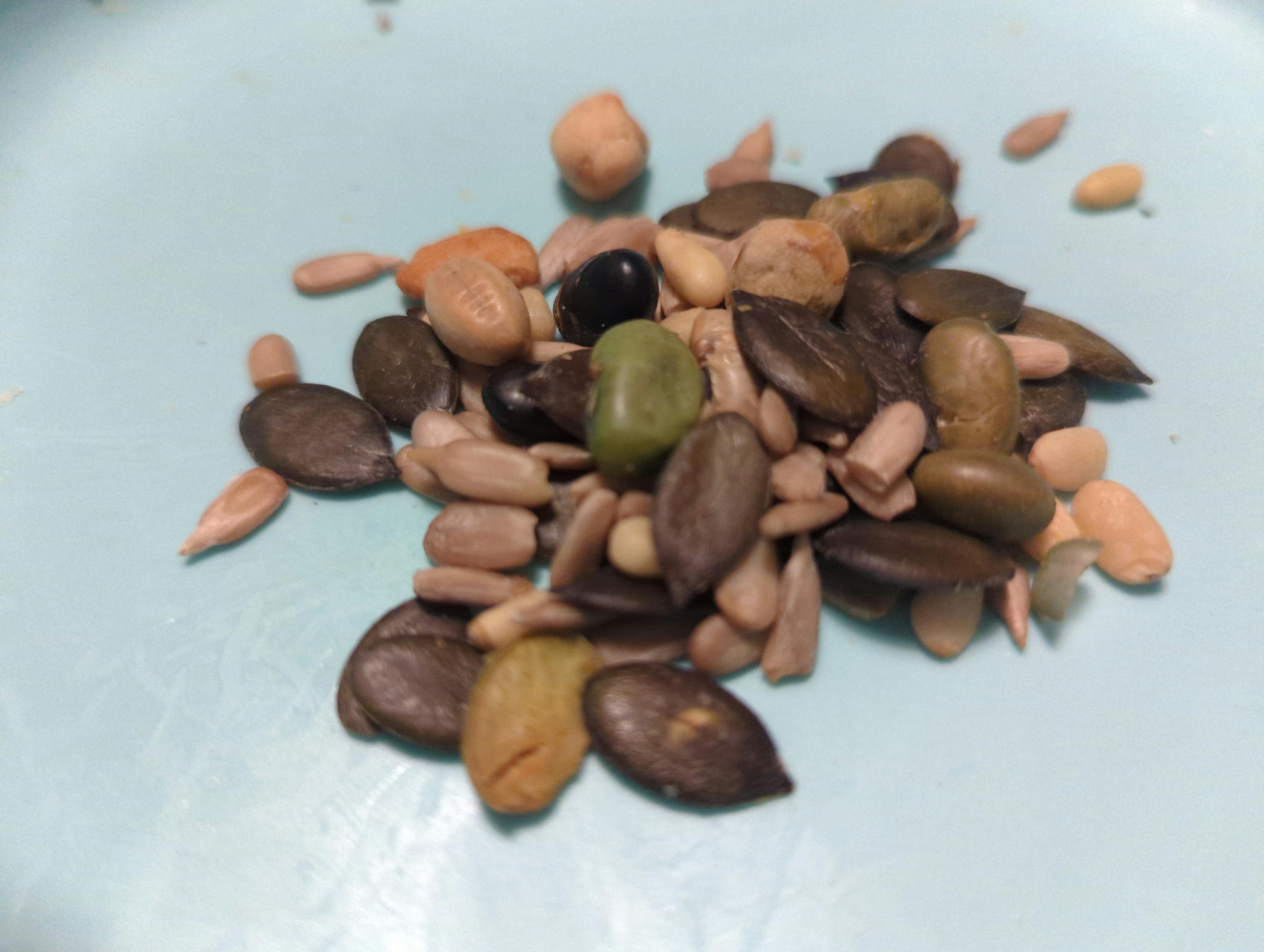 a pile of nuts including pumpkin seeds sunflower seeds and peanuts