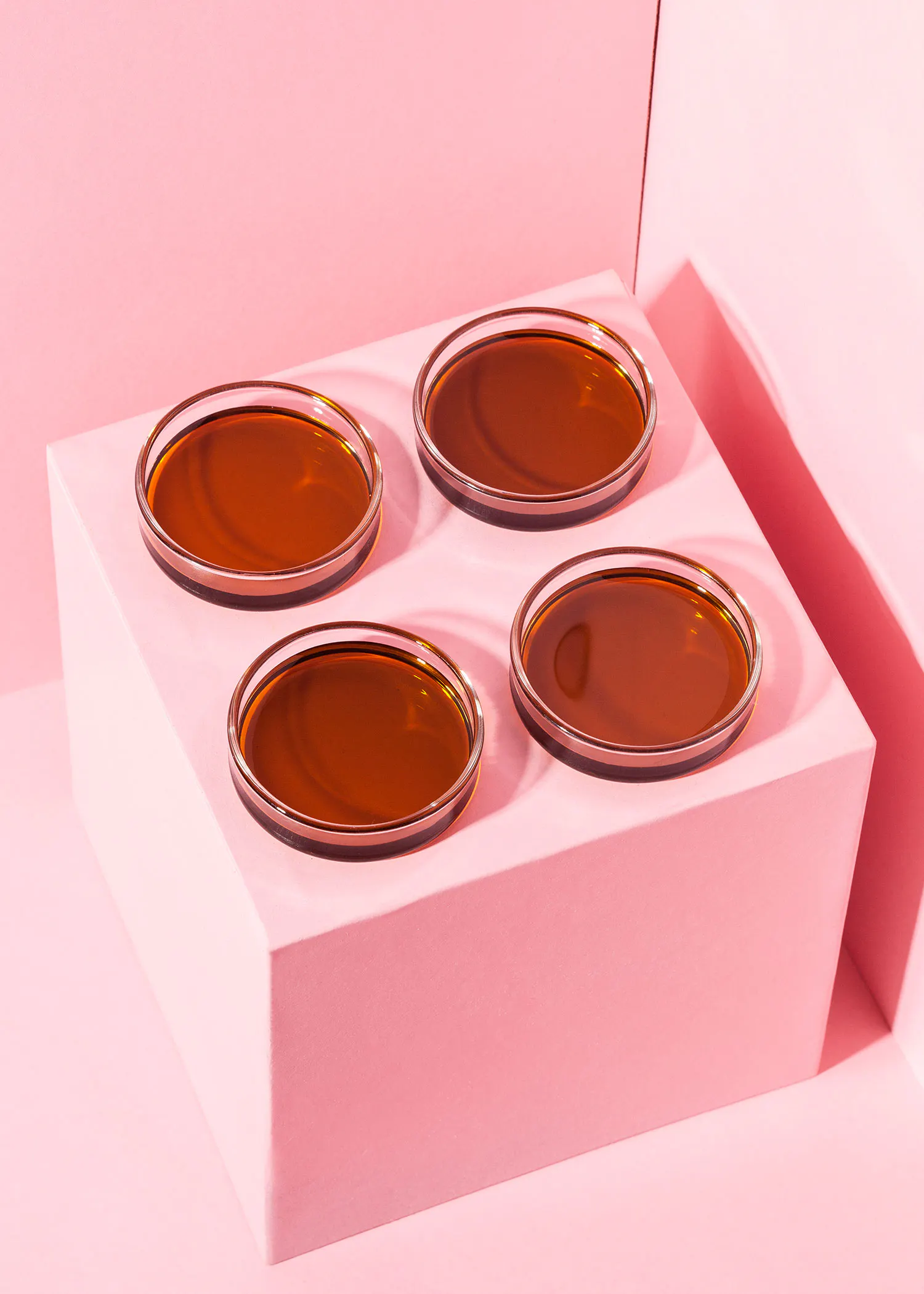 vier Petrischalen mit brauner Flüssigkeit auf einem rosa Block