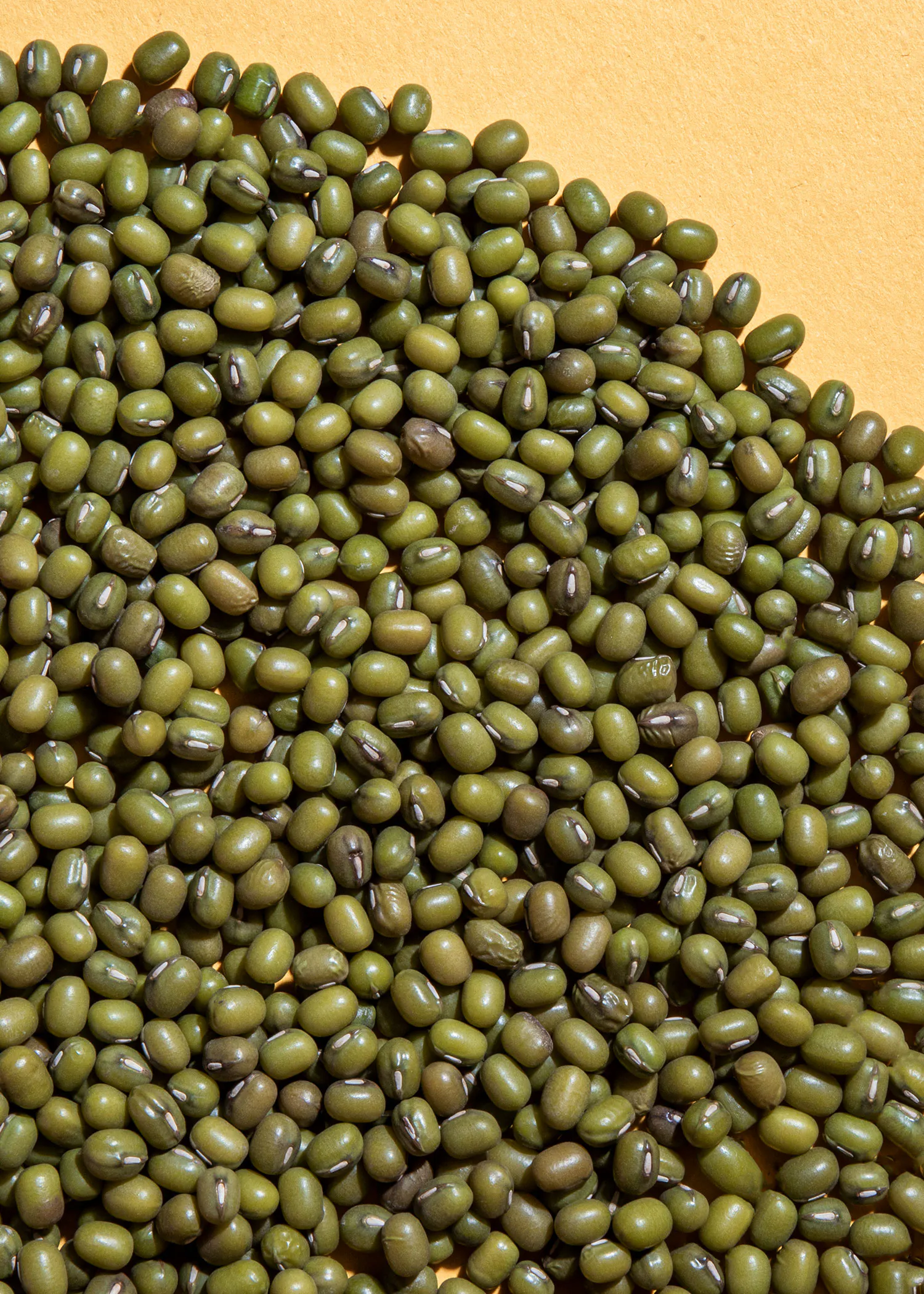 eine Nahaufnahme eines Haufens grüner Bohnen