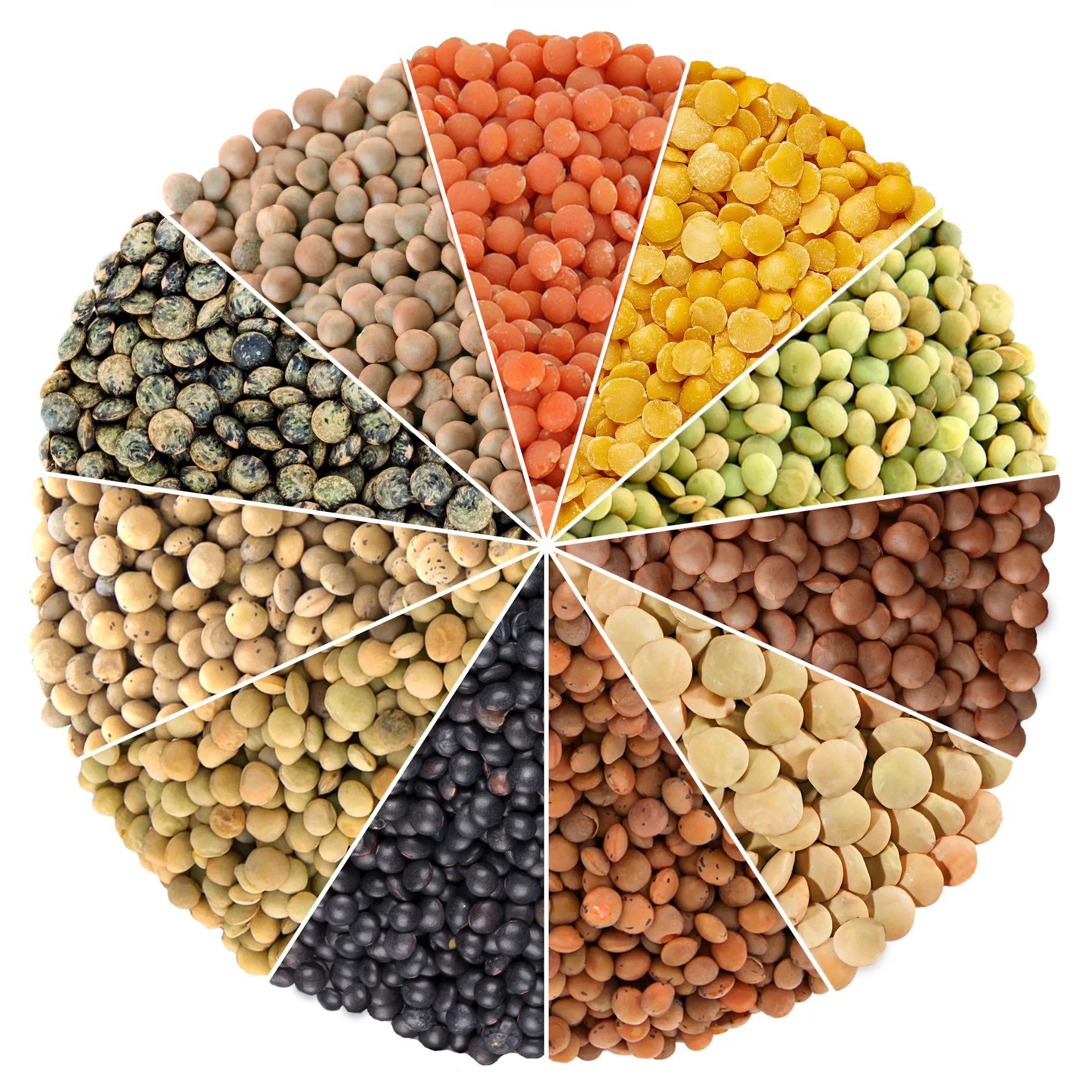 Lentilles corail bio 2 kg - Riches en protéines | KoRo