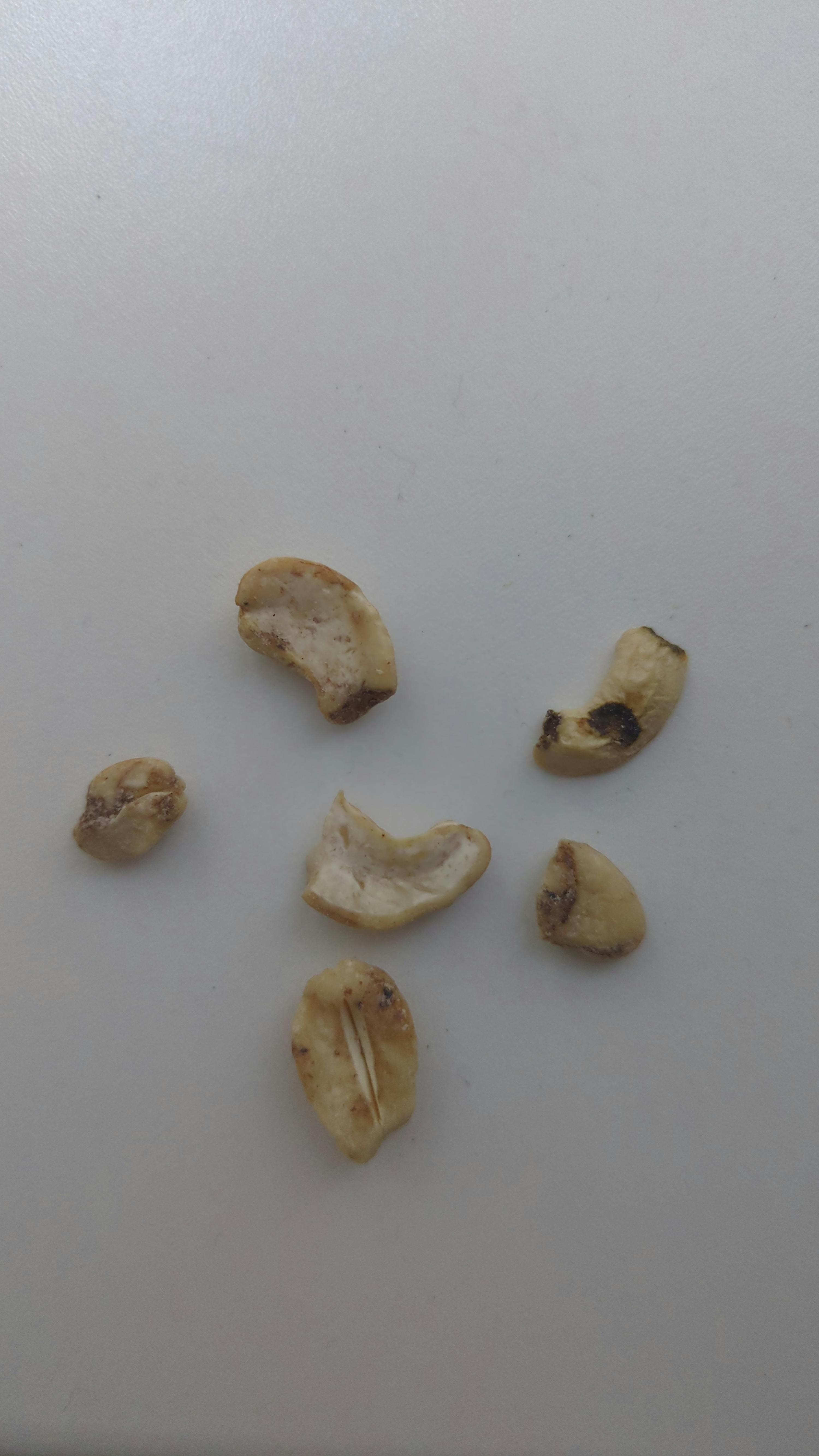 a white surface with a few pieces of bread on it