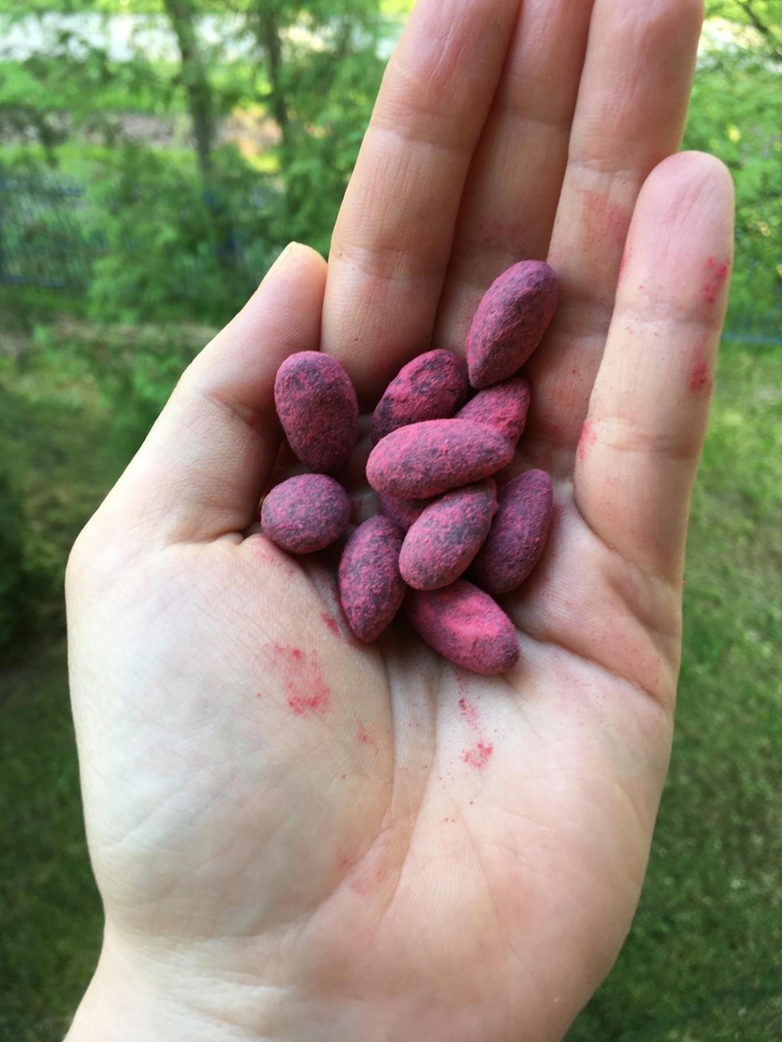 eine Person hält in ihrer Hand eine Handvoll pinkfarbener Erdnüsse