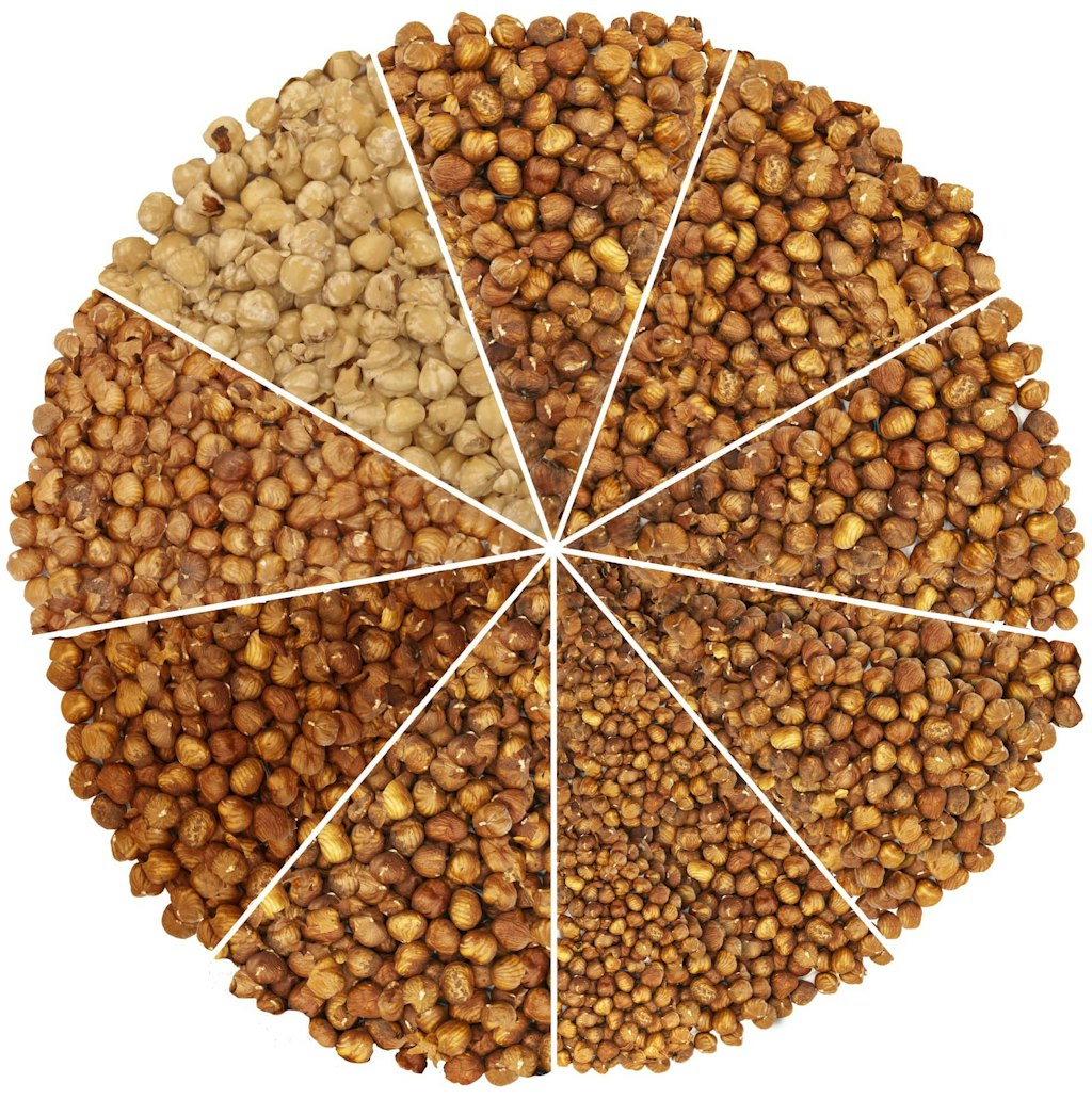 Buy extra large hazelnuts in bulk KoRo Swiss