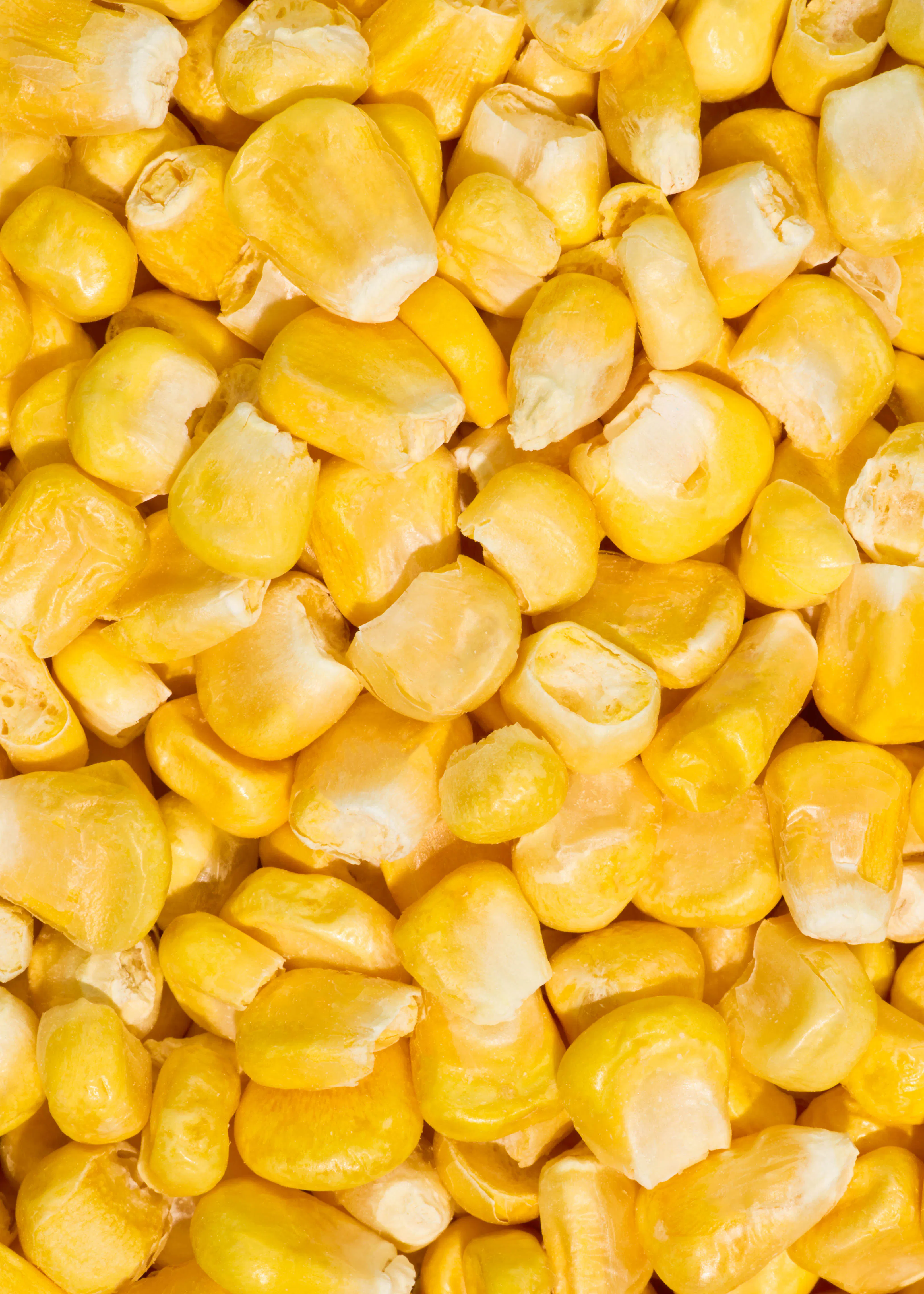 a pile of corn on the cob that has been peeled