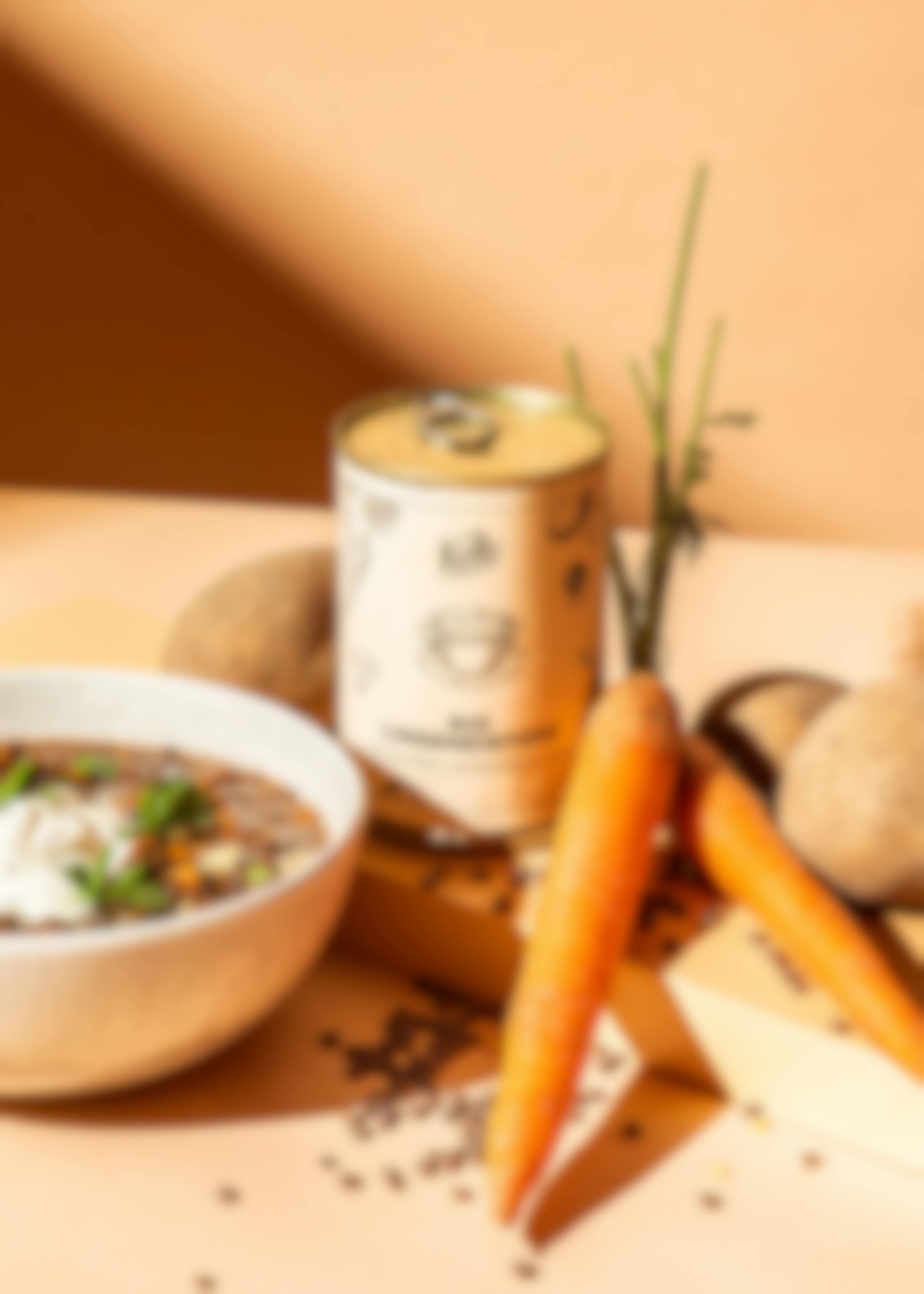 Organic and vegan lentil stew 400g
