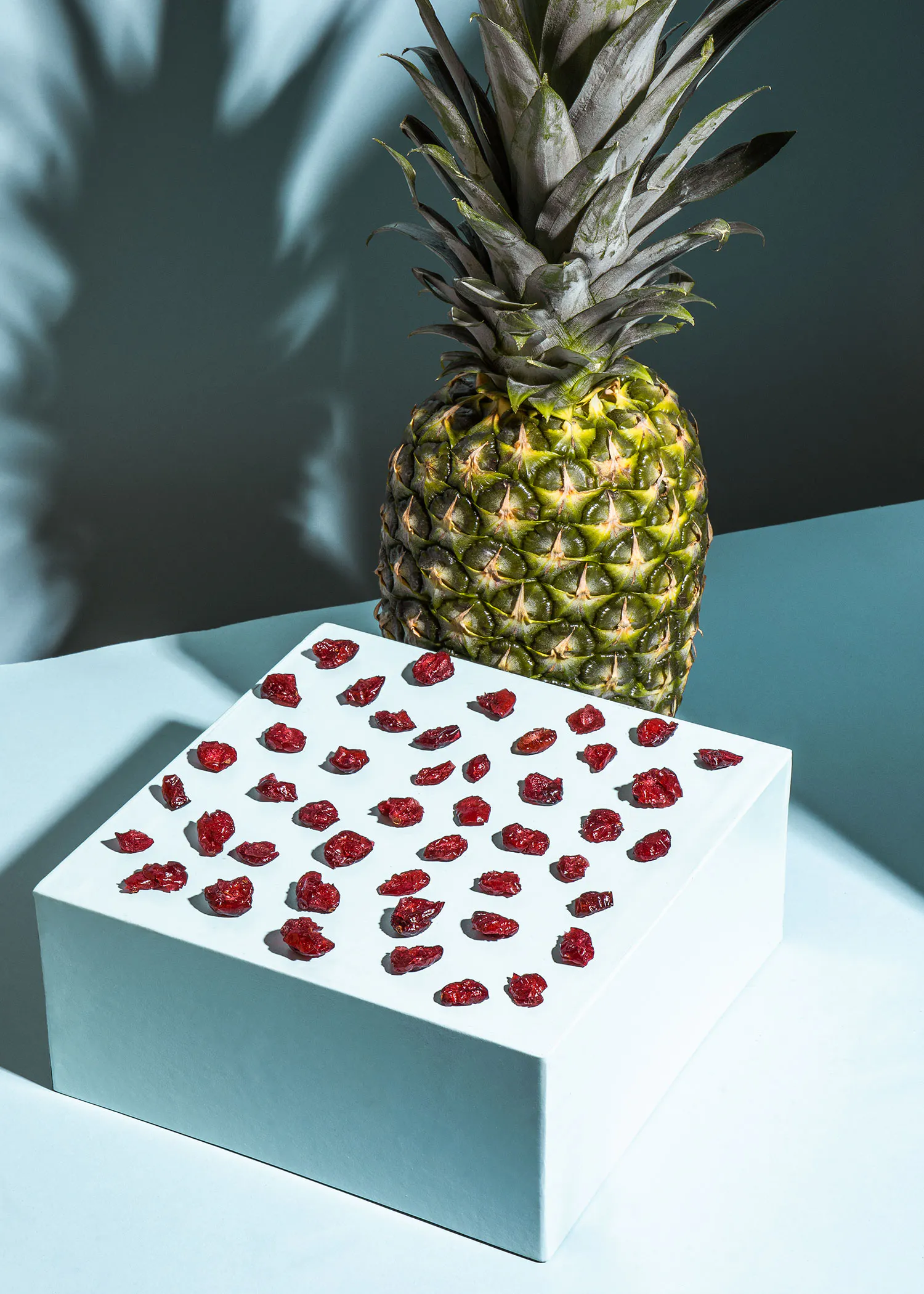 un ananas est assis à côté d' une boîte blanche remplie de canneberges séchées