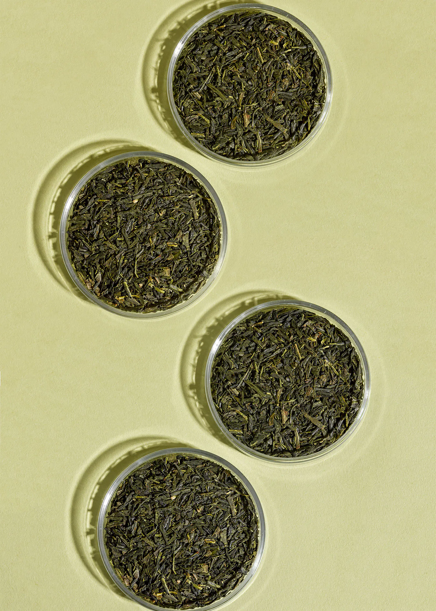 drei Plastikteller mit grünem Tee auf einem gelben Hintergrund