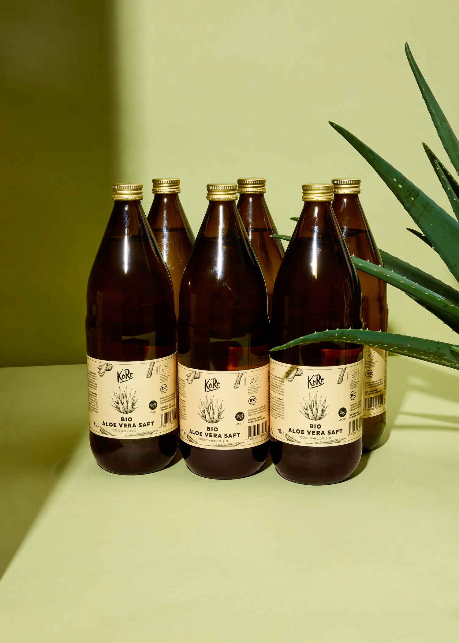 sechs Flaschen bio Aloe Verasaft stehen nebeneinander