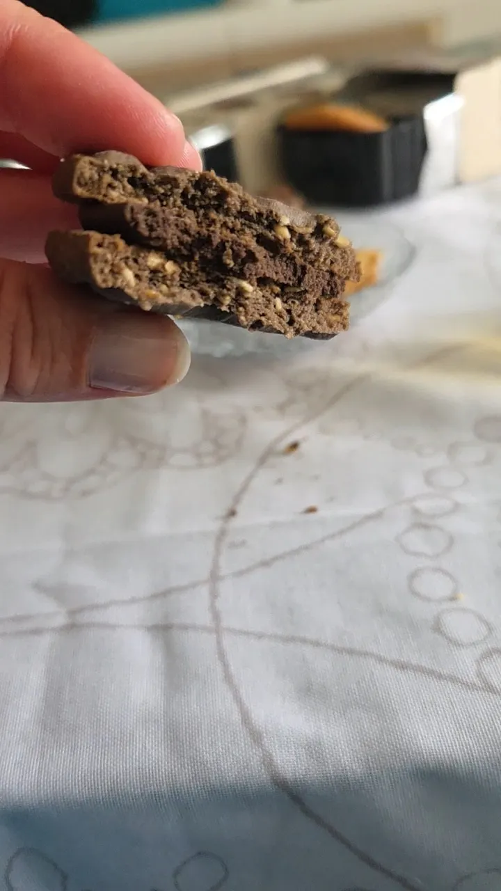 eine hand hält einen durchgebrochenen schokoladenkeks mit sichtbarer körniger textur vor einem hellen hintergrund.