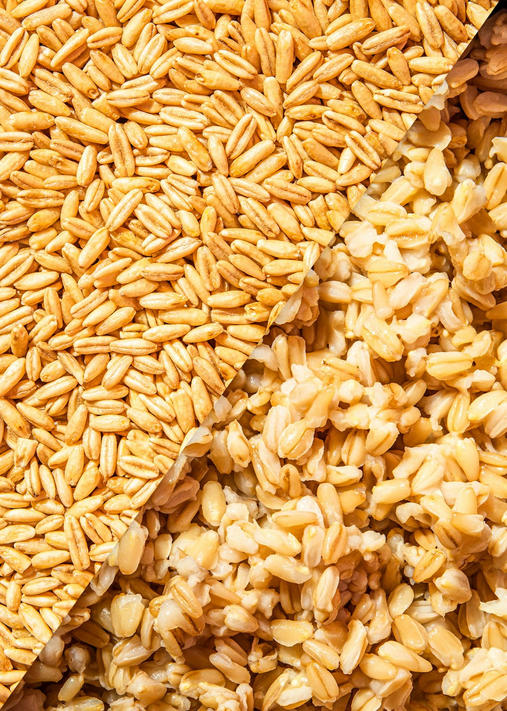 buy-our-organic-oat-2-5-kg-koro-germany