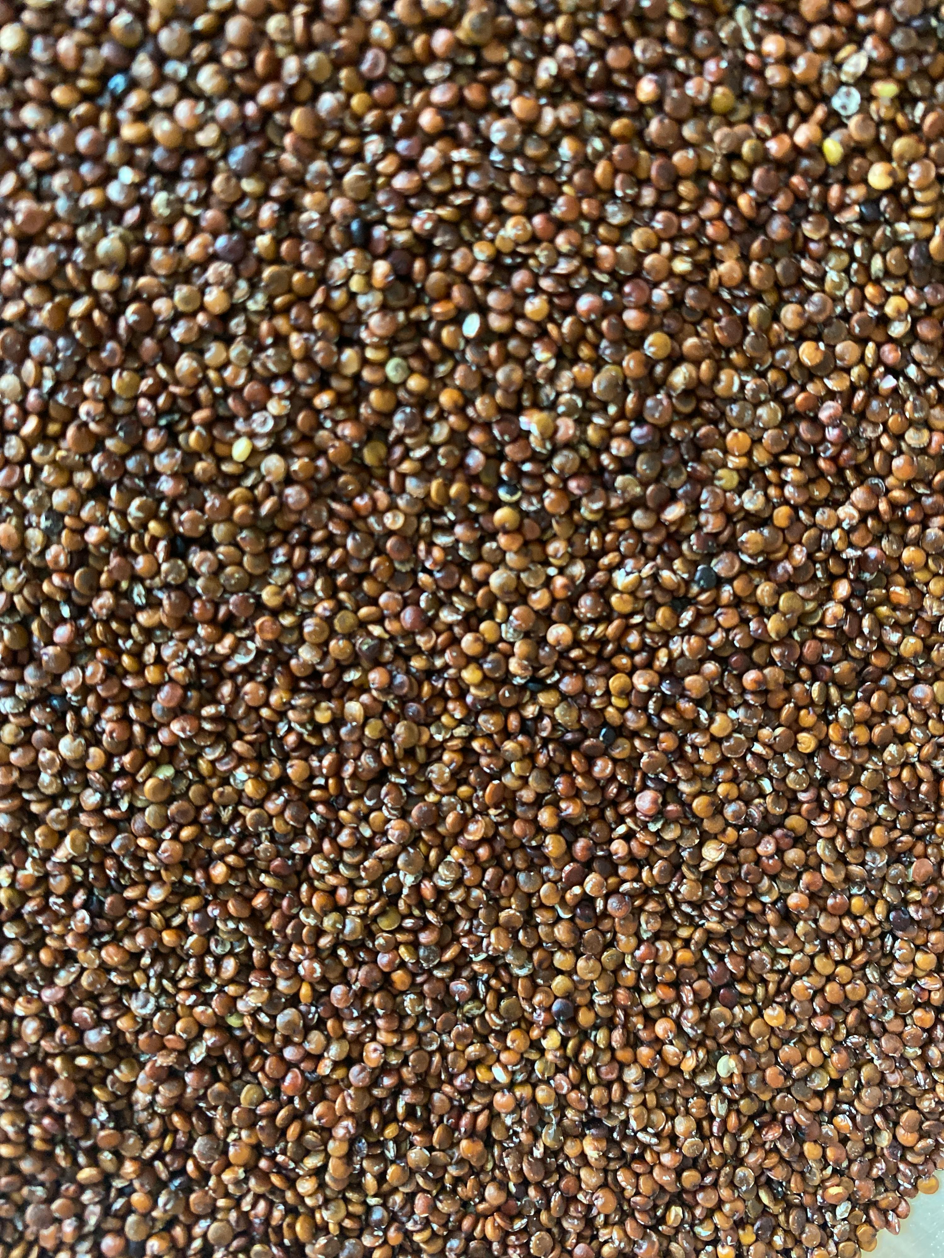a close up of a pile of brown beans