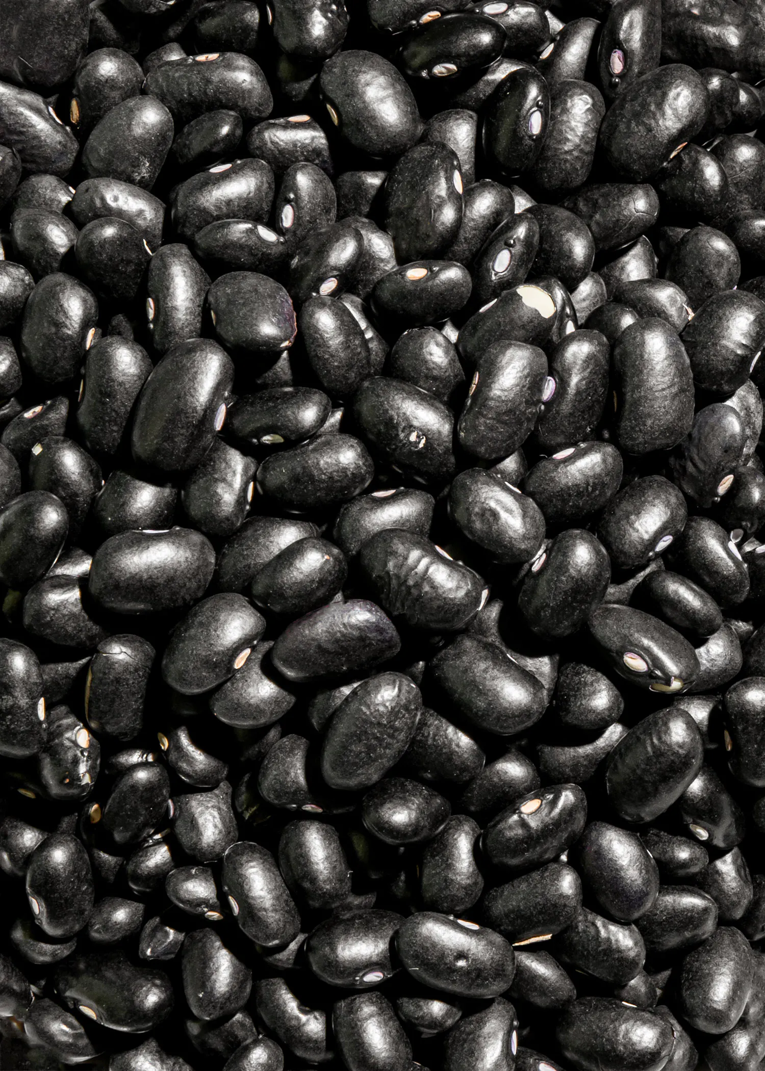 a pile of black beans with purple seeds in them