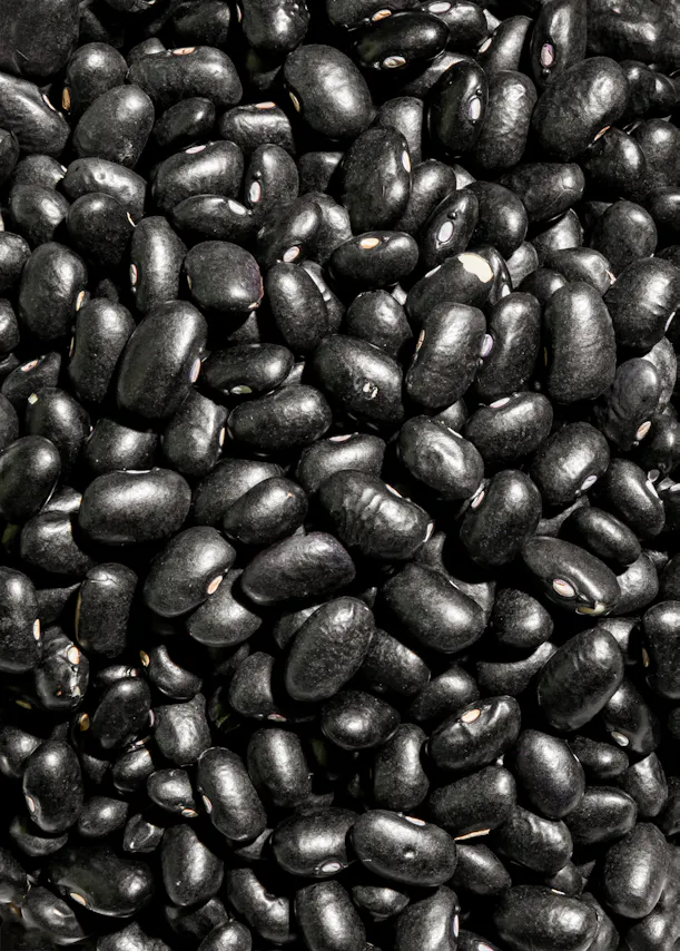a pile of black beans with purple seeds in them