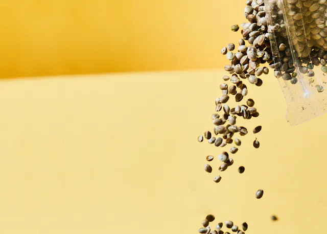 eine Tüte Samen , die aus einer Plastiktüte kommt