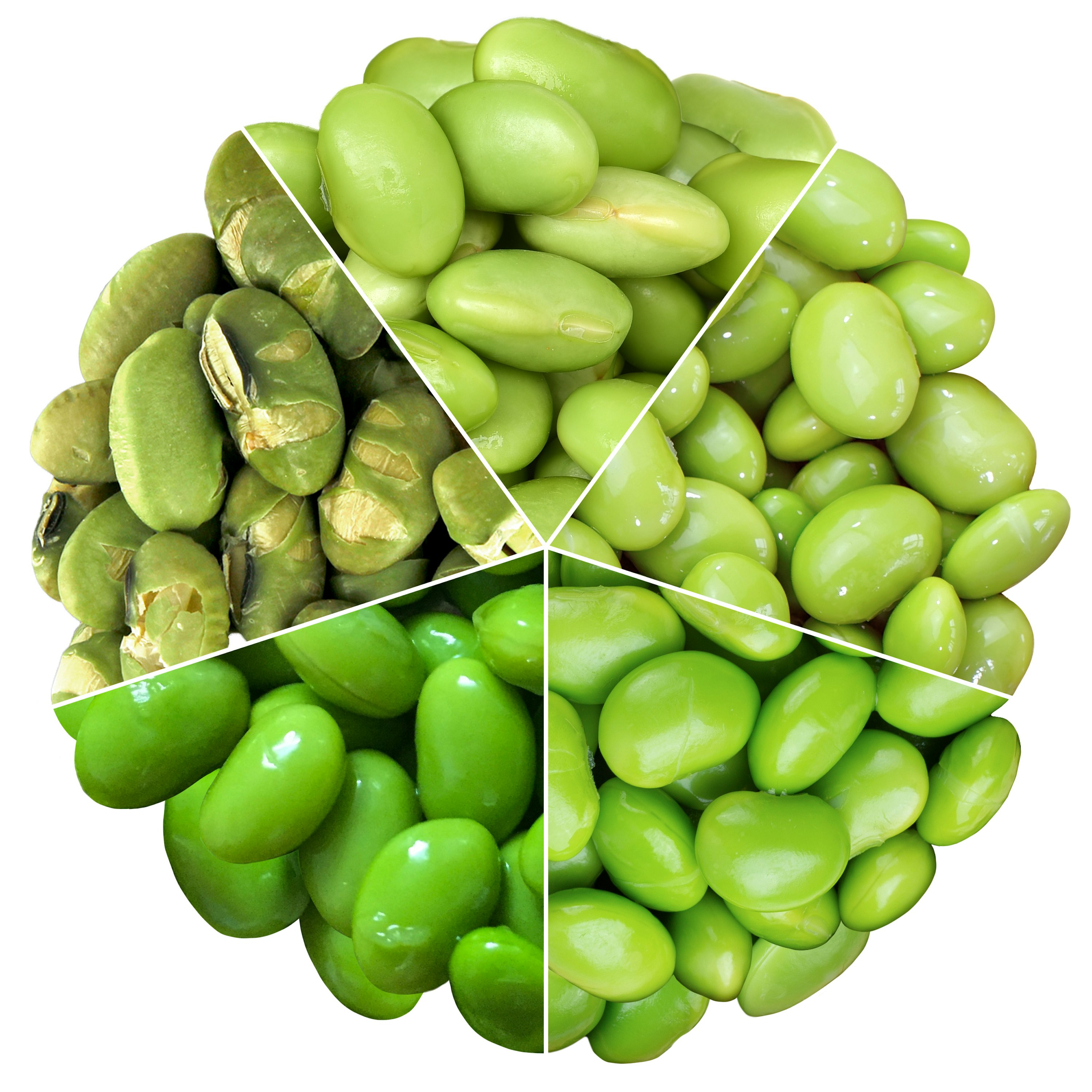 Edamame Bohne geröstet und gesalzen kaufen KoRo Austria