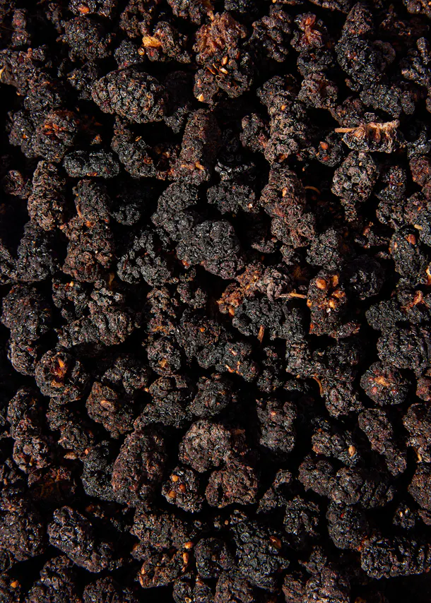 a pile of black berries with nuts on them