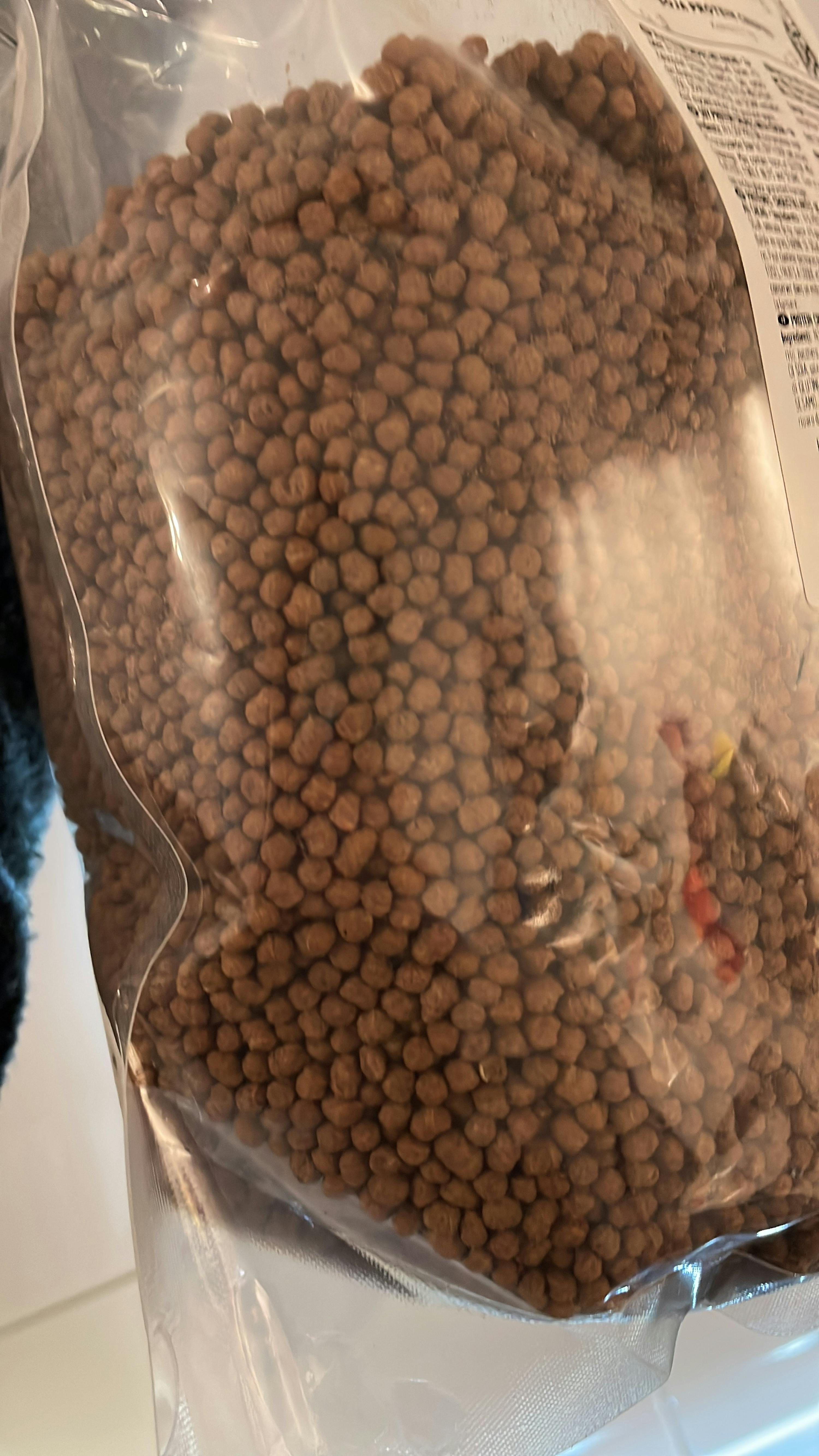 KoRo - Soja crispies (58 %) au cacao 1 kg : : Epicerie