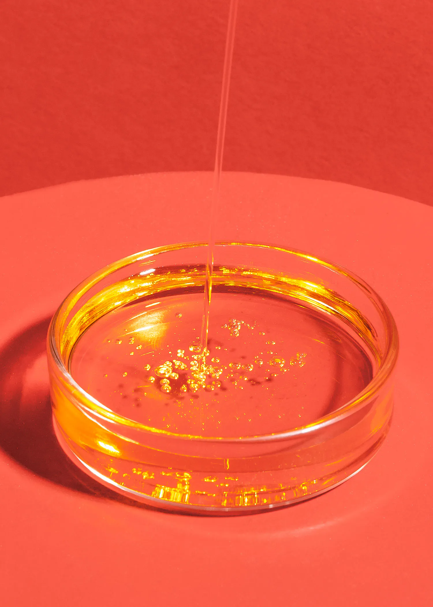 eine gelbe Flüssigkeit fließt in eine Petrischale