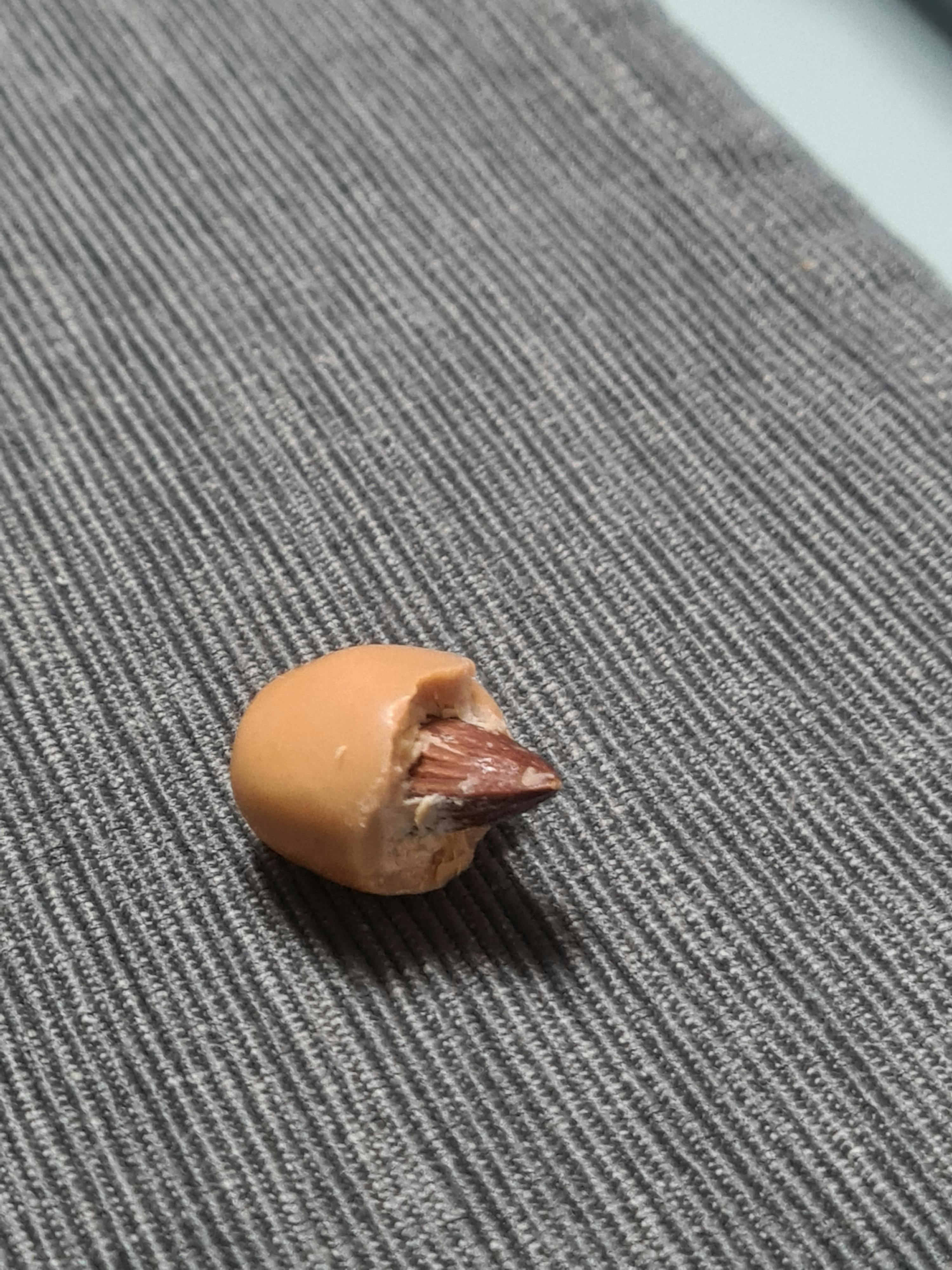 un morceau de caramel avec une noix dessus est posé sur une couverture grise