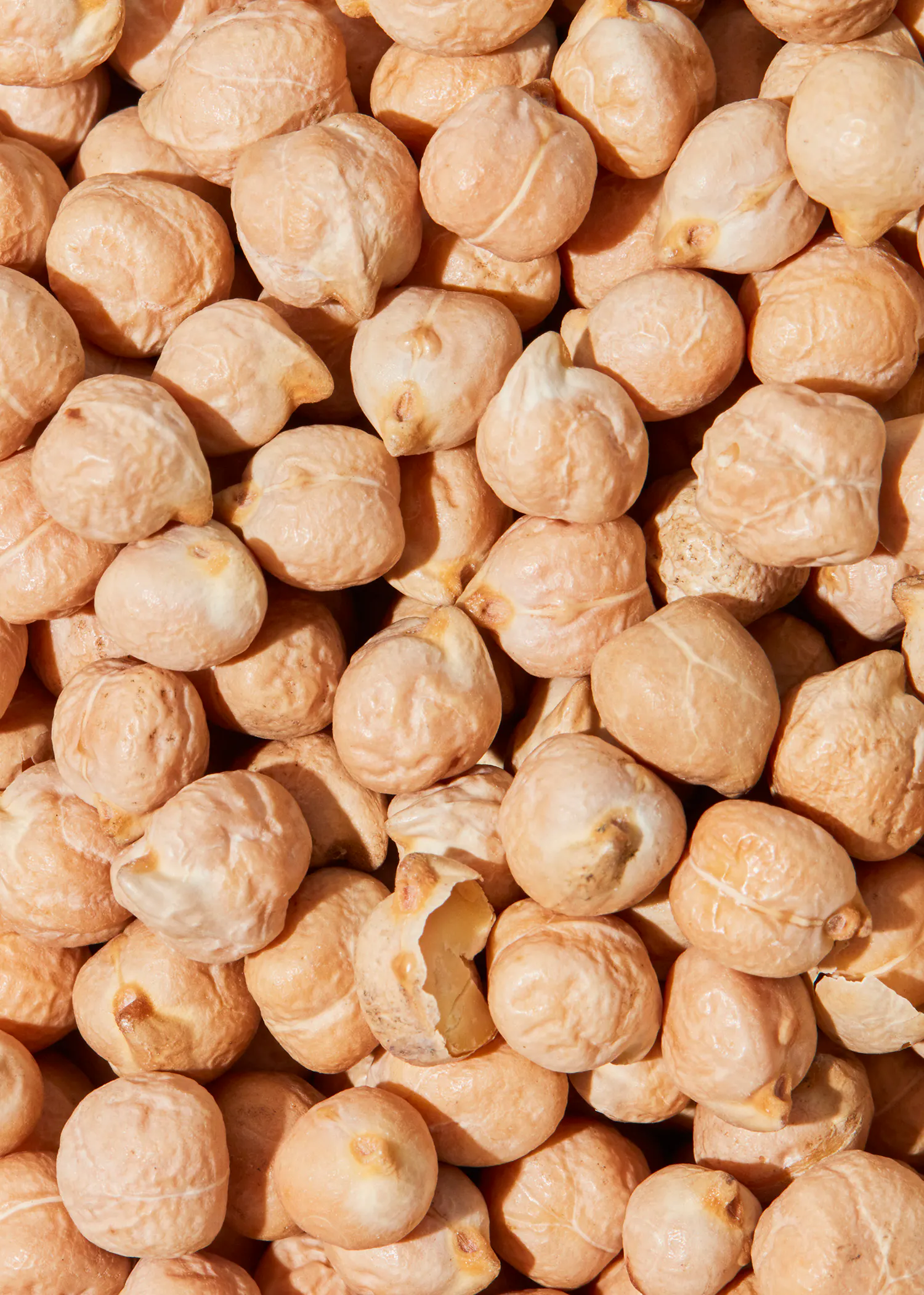 eine Nahaufnahme eines Haufens kichererbsen