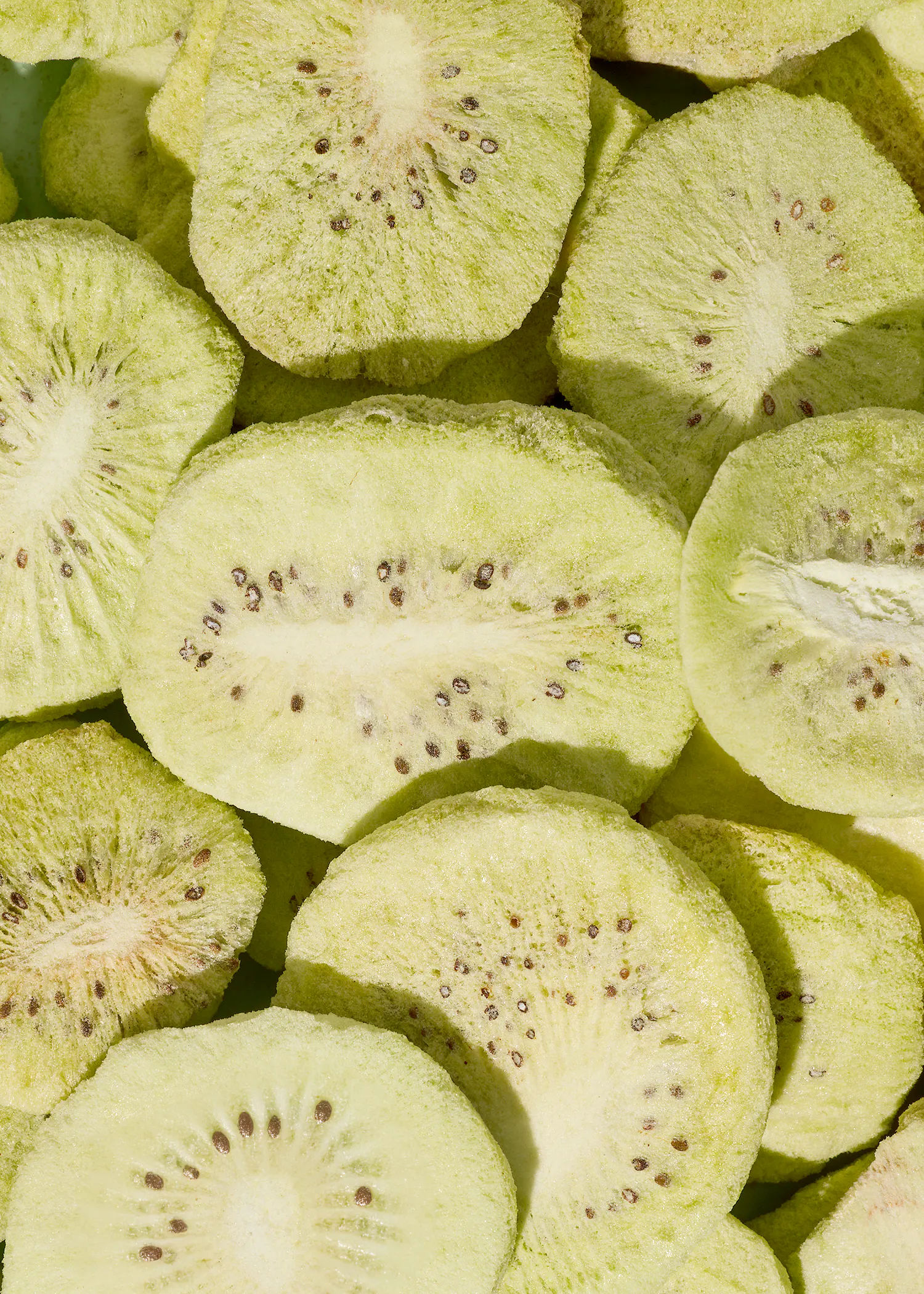 a close-up of many dried kiwi slices showing their light green color and dark seeds.