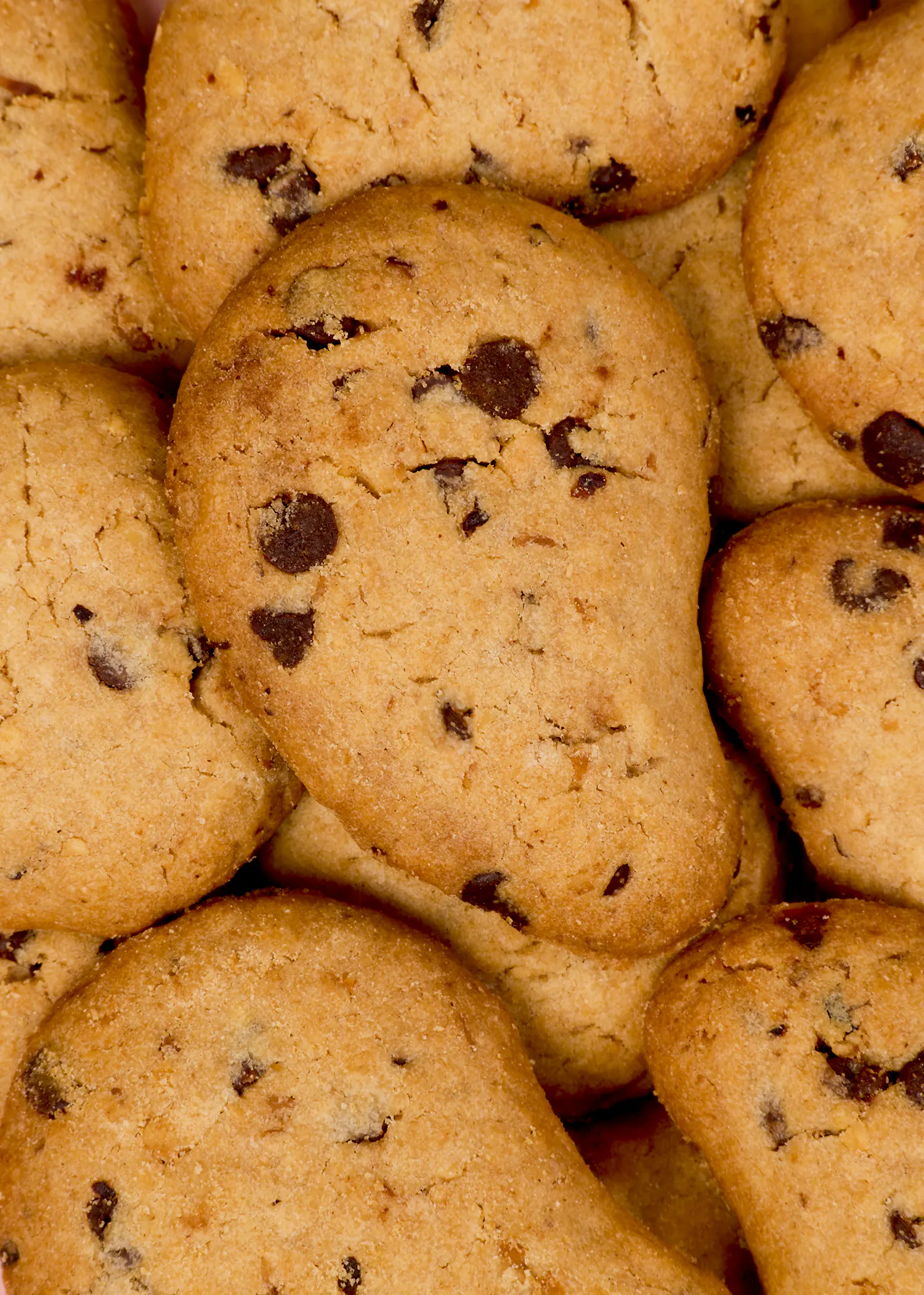 ein nahaufnahmebild von mehreren dicht beieinander liegenden, hellbraunen cookies mit schokoladenstückchen.