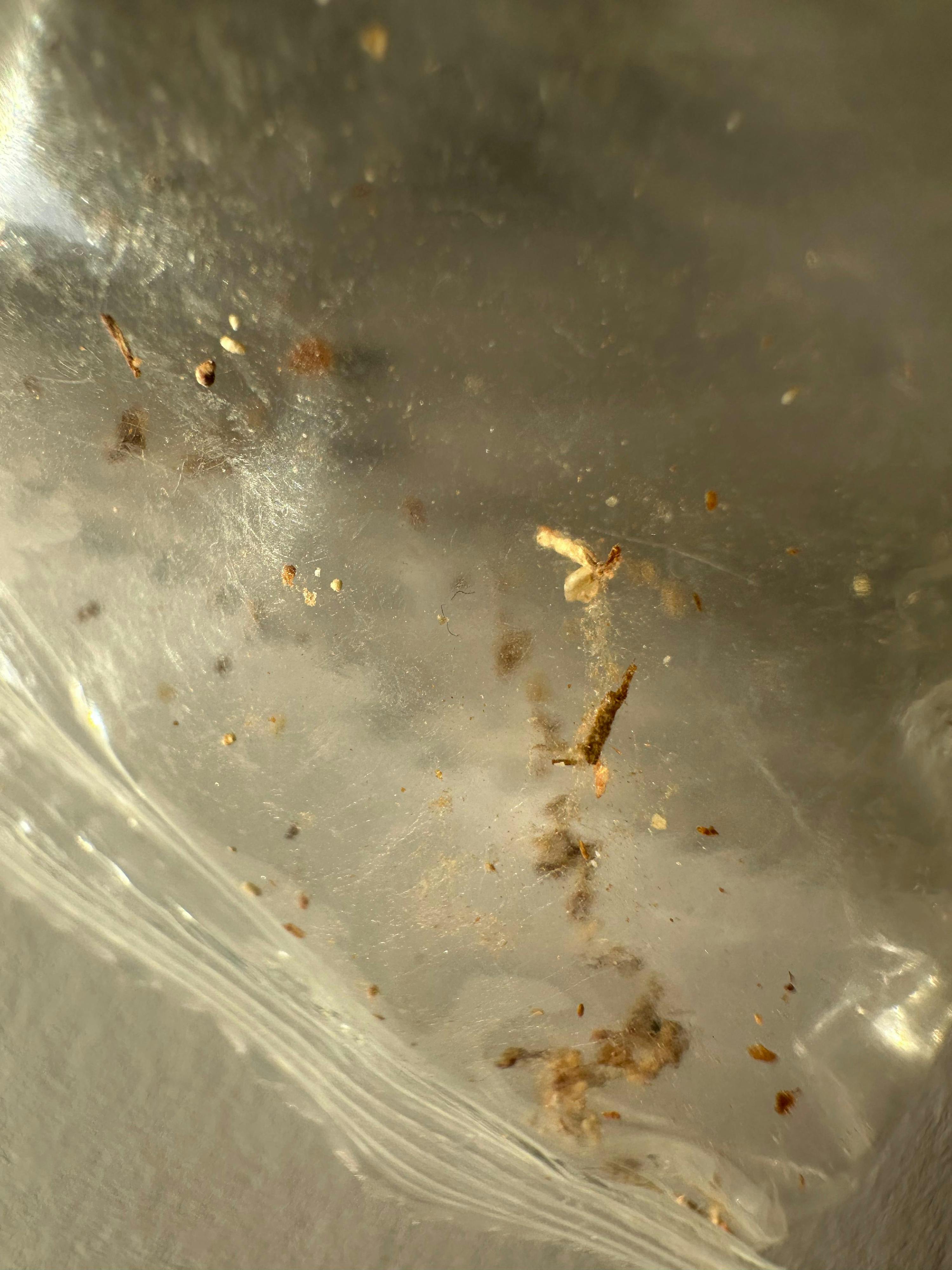 nahaufnahme einer transparenten oberfläche mit verstreuten kleinen dunklen und hellen partikeln sowie größeren braunen stücken.