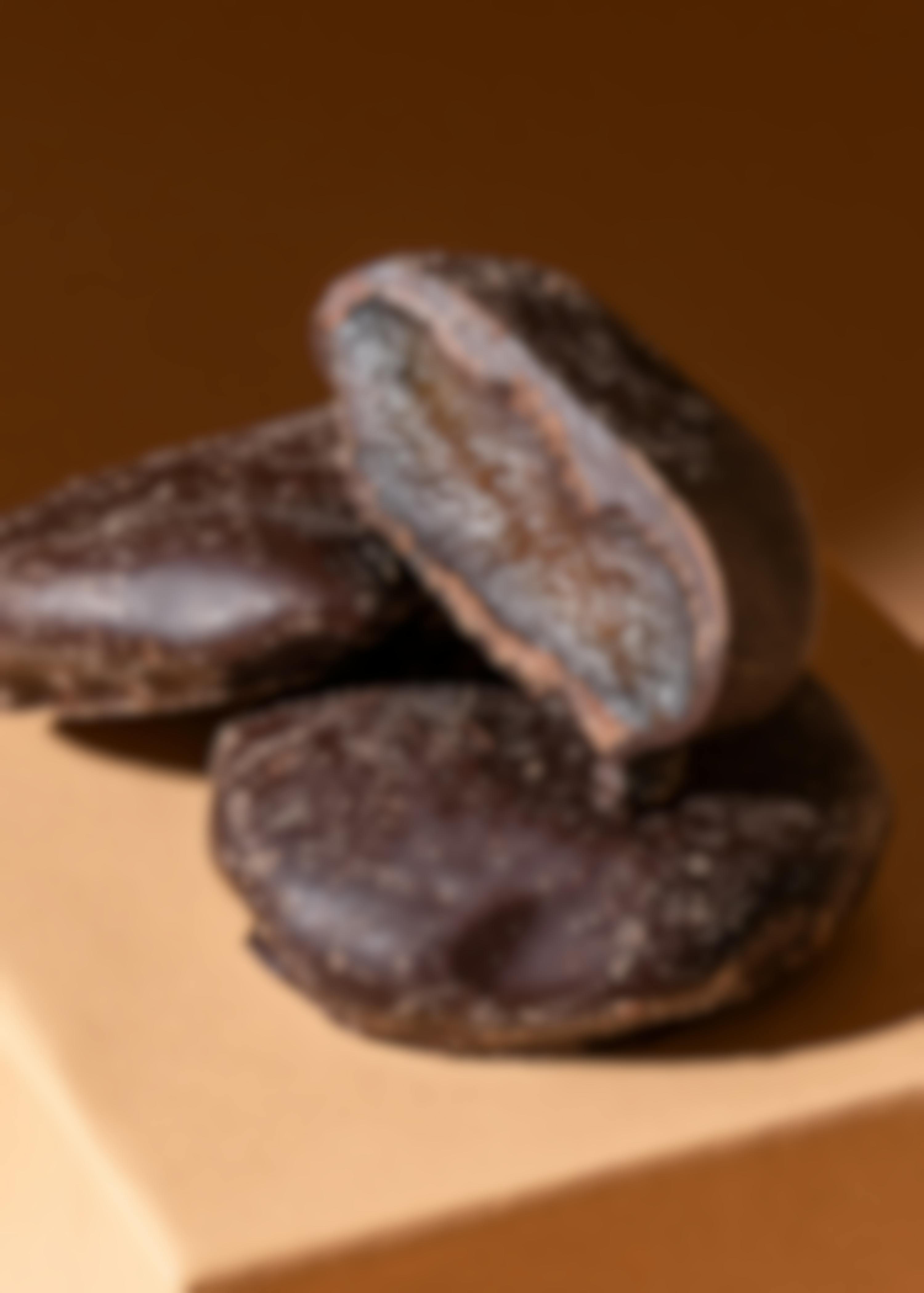 Nahaufnahme einer aufgeschnittenen Schoko-Aprikose liegend auf zwei weiteren Aprikosen in Zartbitterschokolade