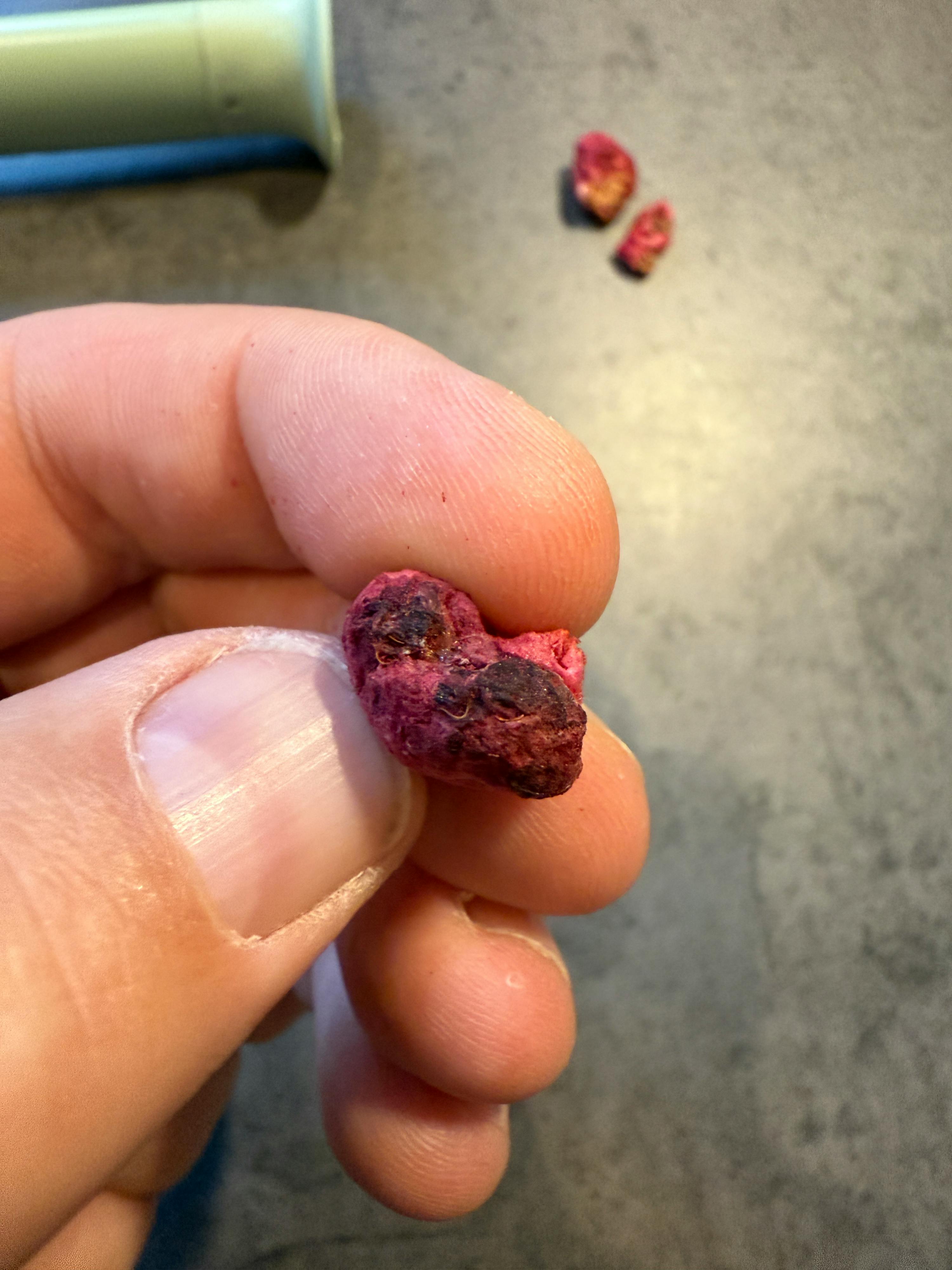 un primo piano di una persona che tiene in mano un pezzo di frutta secca