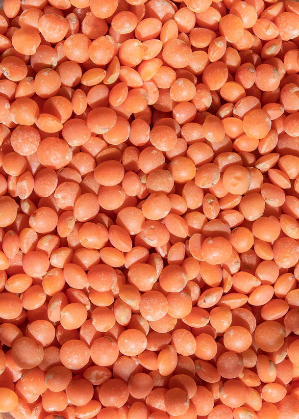 un gros plan d' un tas de lentilles orange