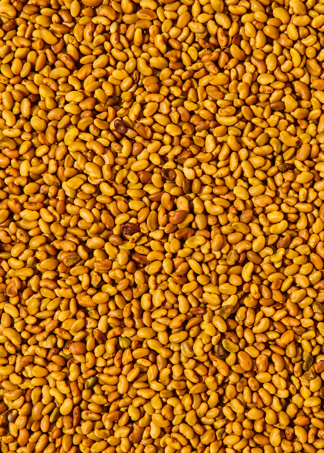 eine Nahaufnahme eines Haufens gelber Bohnen