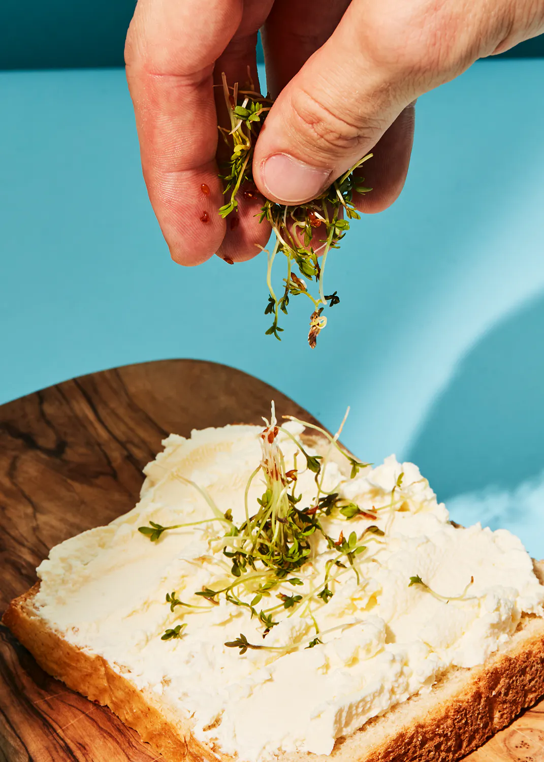 Eine Person gießt Kräuter auf ein Stück Brot