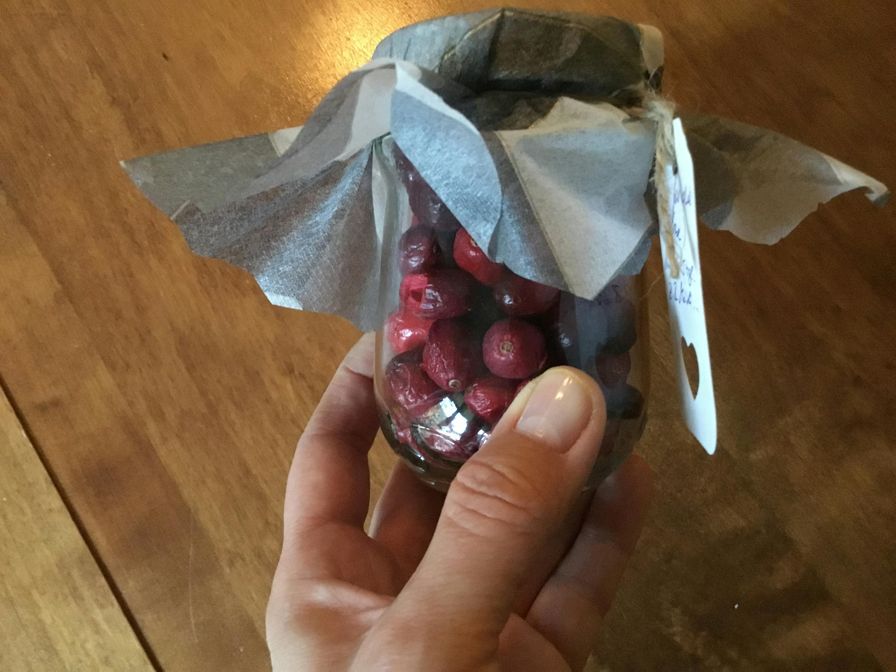 eine Person hält ein Glas mit roten Beeren darin