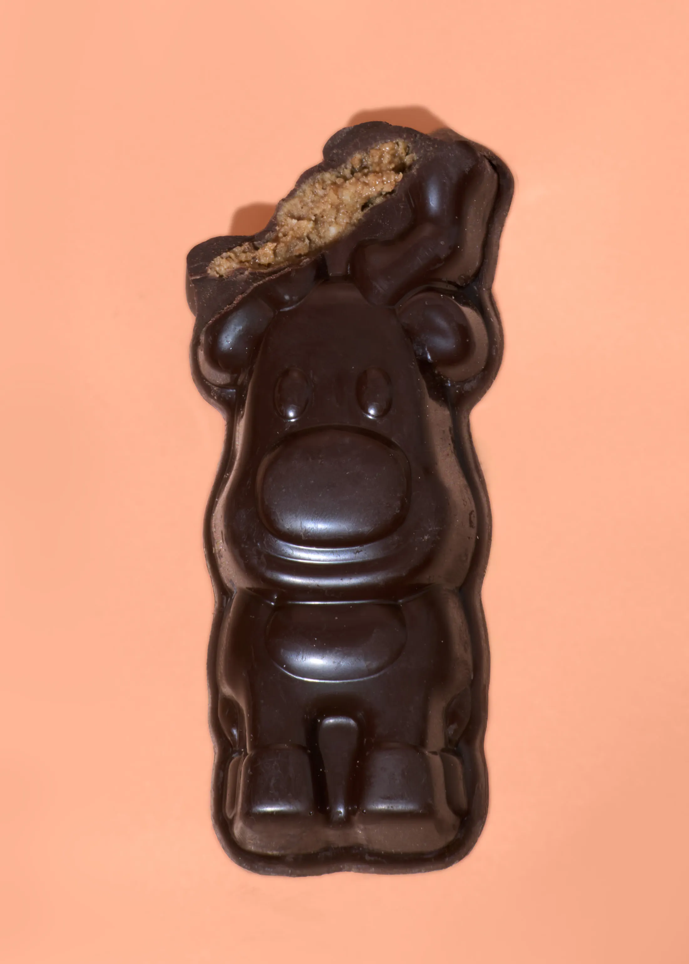 Dark chocolate with gingerbread filling | 23g hover