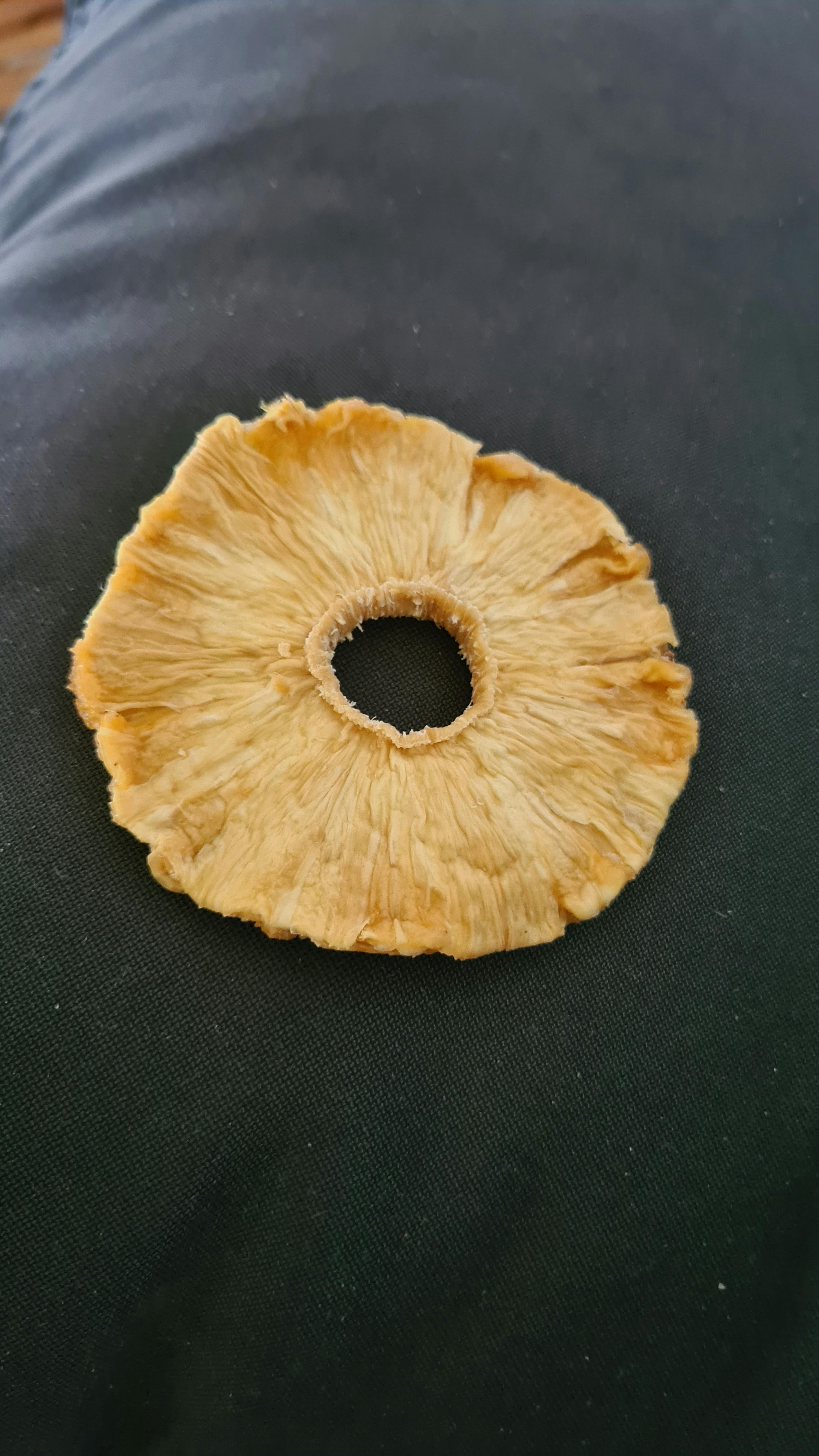 ein Stück Ananas mit einem Loch in der Mitte