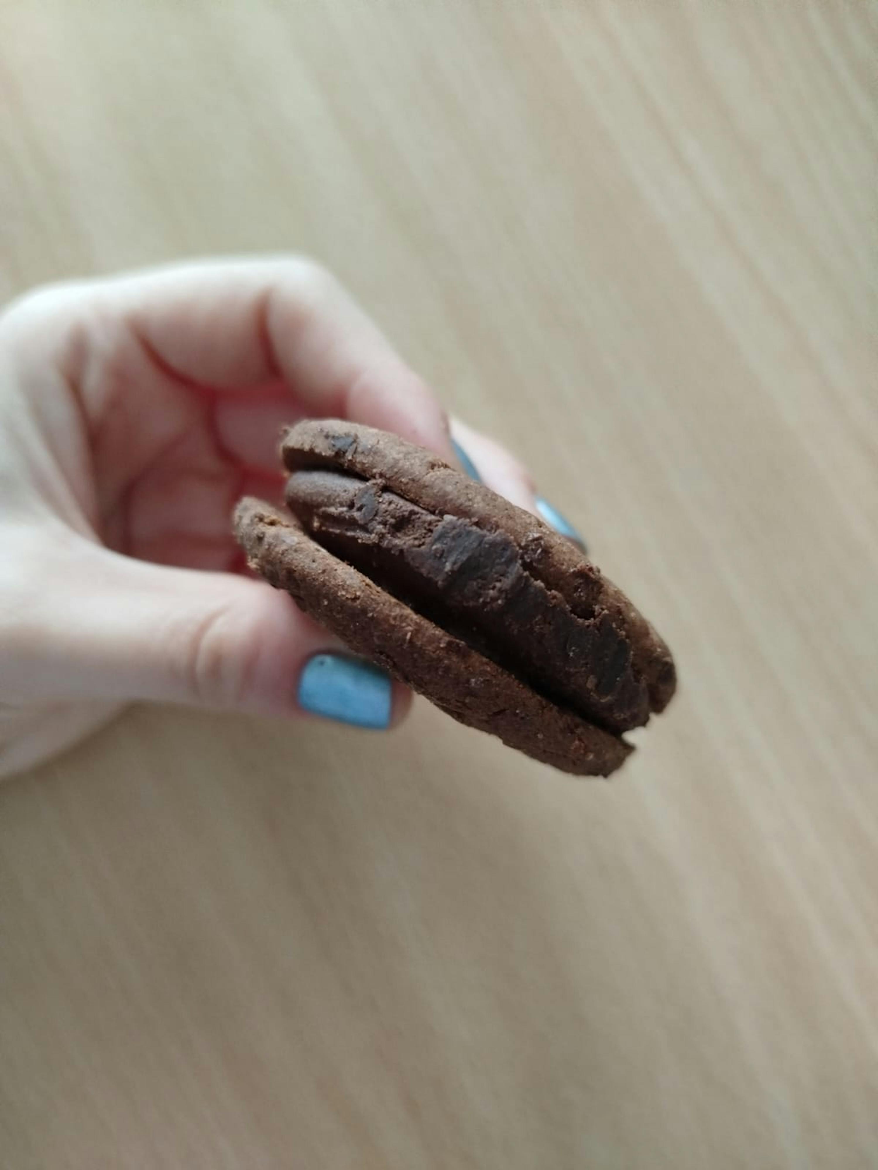 eine Frau mit blauen Nägeln hält ein Schokoladenkeks in der Hand