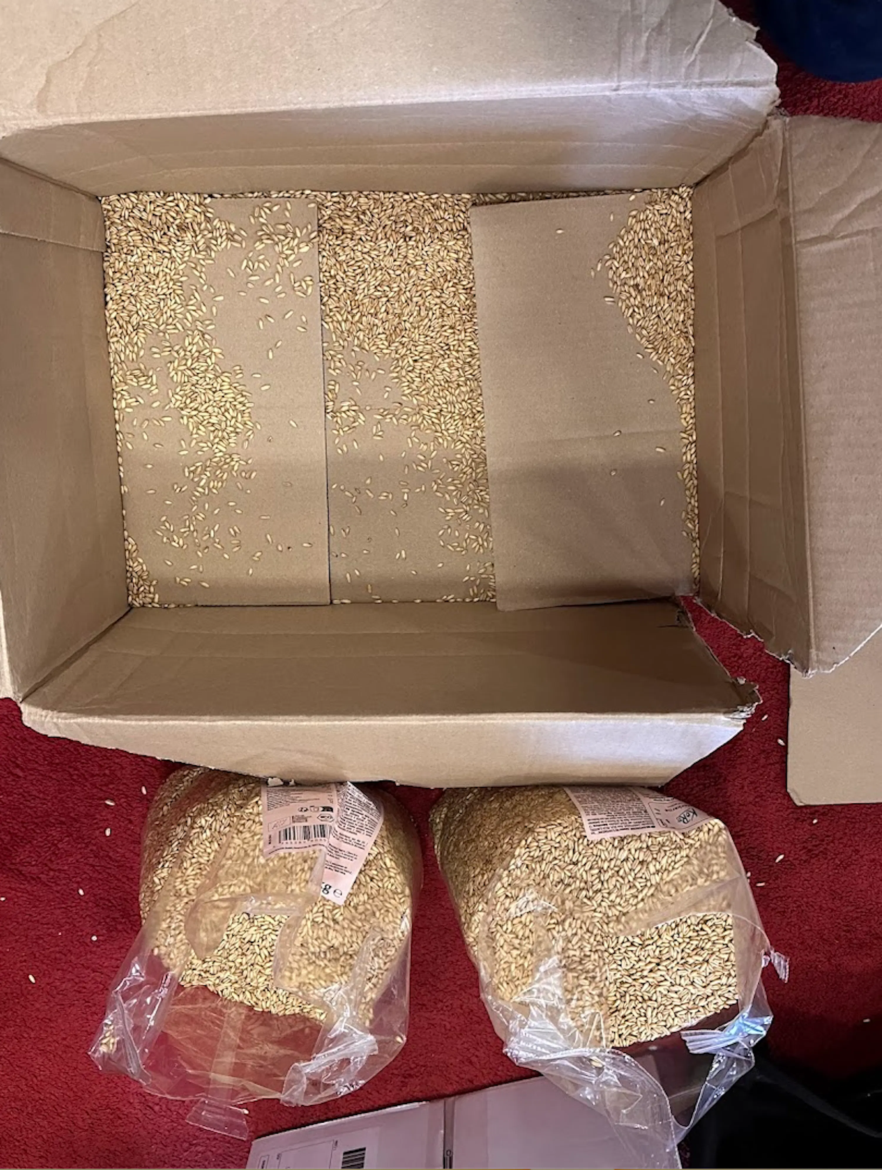 una scatola di cartone aperta con chicchi di cereali sparsi all'interno e due sacchi di cereali sul tappeto rosso.