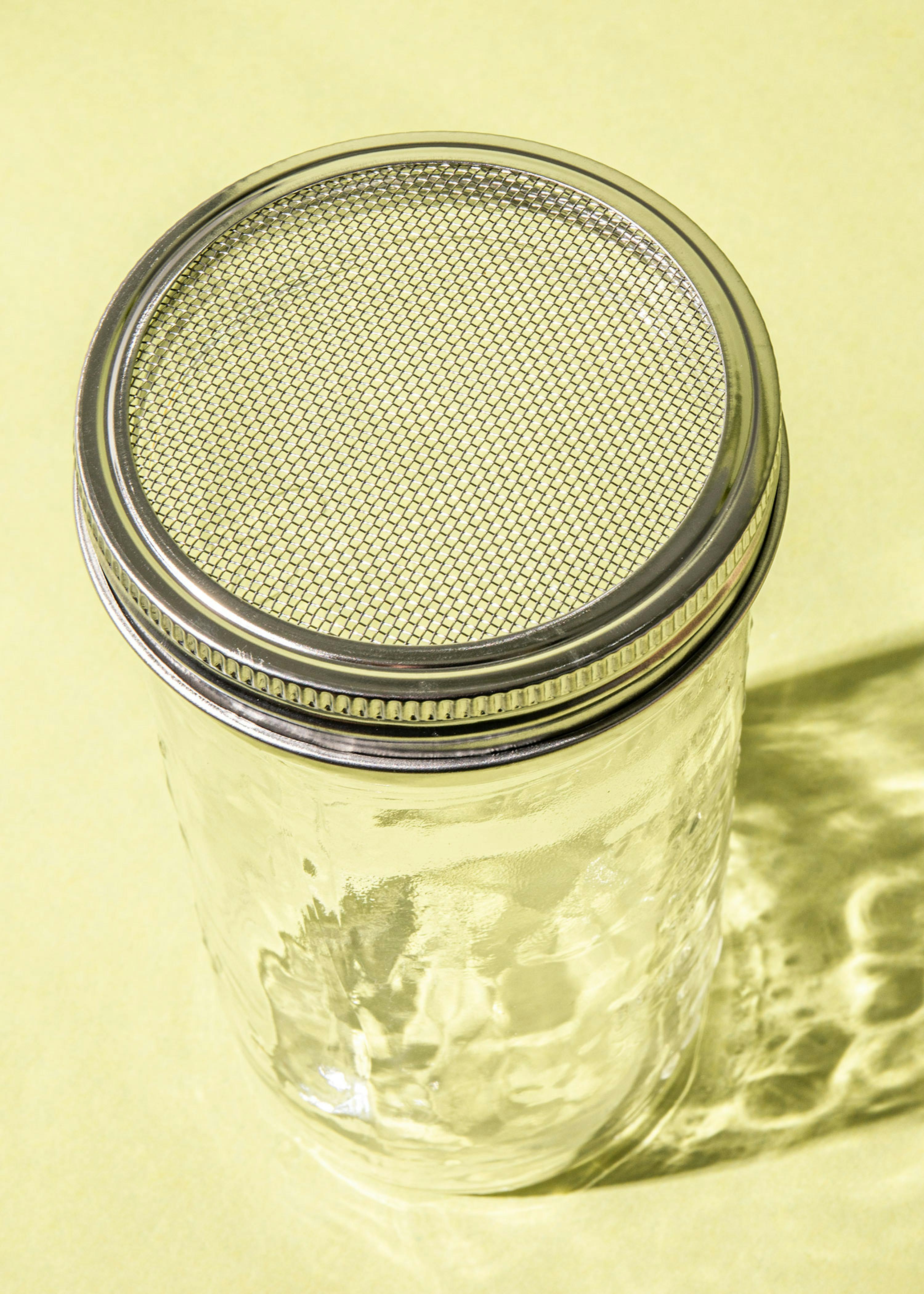Pratique germoir en verre avec tamis en acier inoxydable pour la culture  des graines germées.