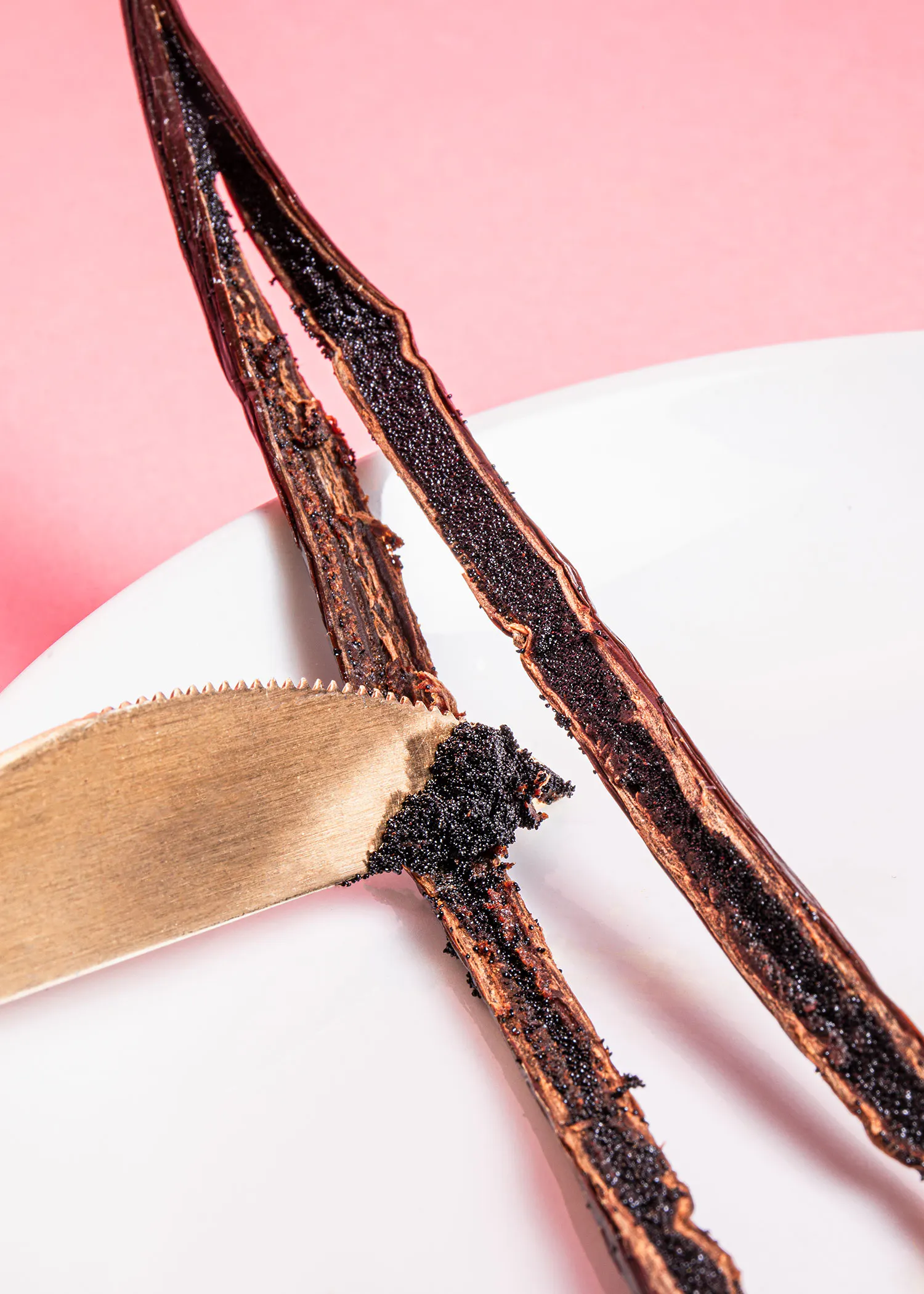 ein Paar Vanillestangen auf einem weißen Teller