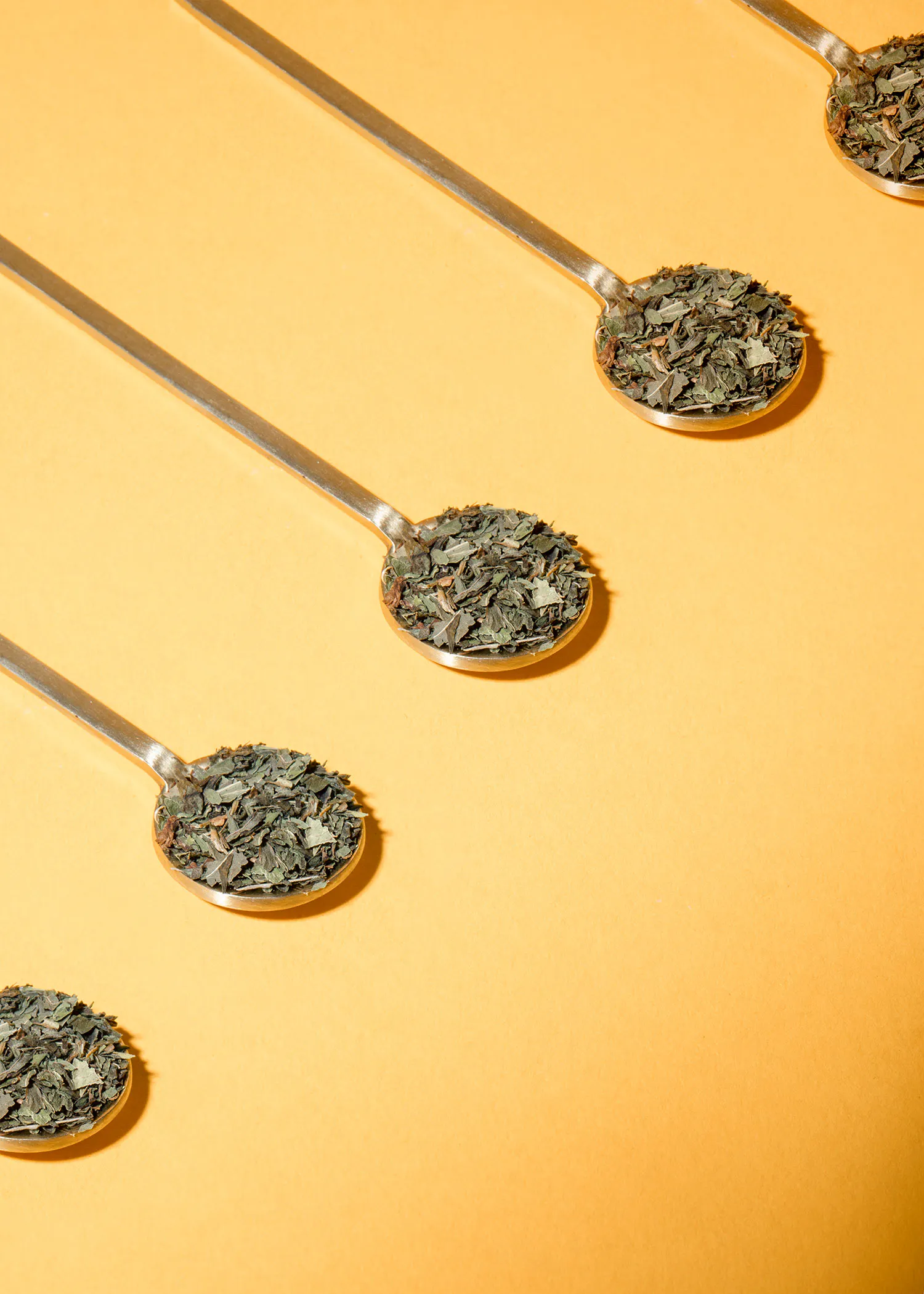vier Löffel mit grünem Tee auf einem gelben Hintergrund
