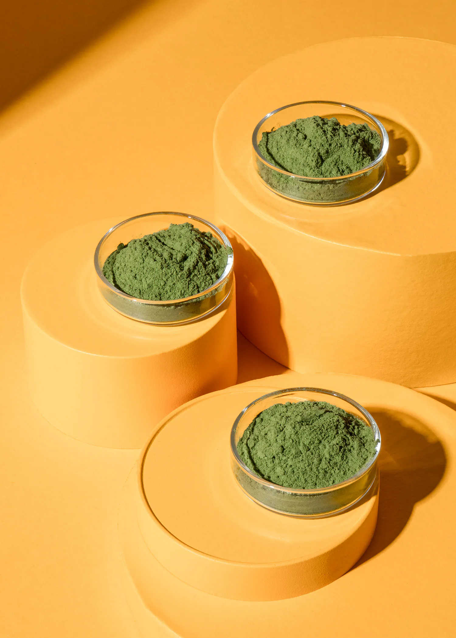 trois bols en verre remplis de poudre verte sont posés sur des supports jaunes