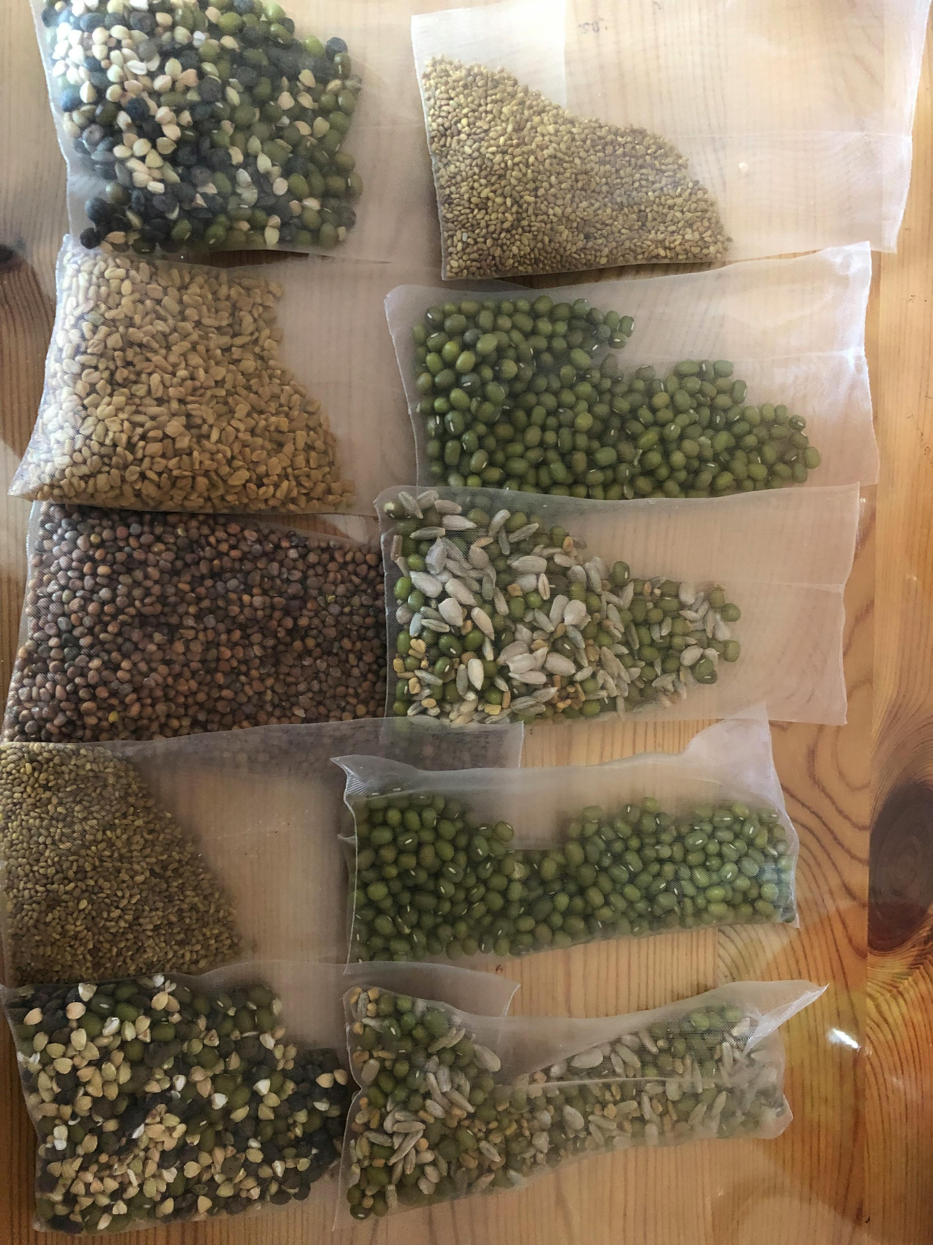 a row of bags filled with different types of seeds