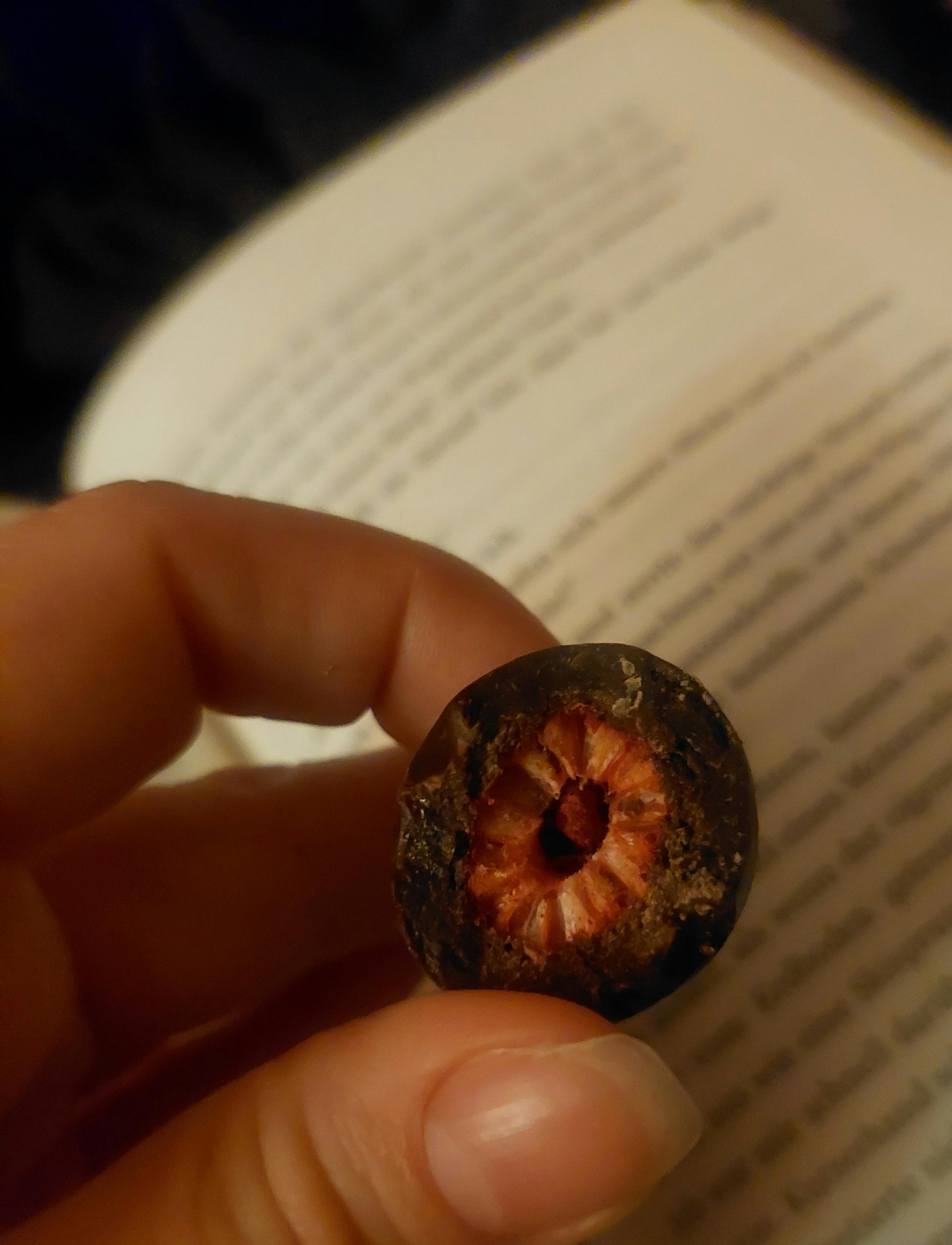eine hand hält eine kleine, dunkle, runde frucht oder süßigkeit mit einem rötlichen, strukturierten inneren, vor einem unscharfen, geöffneten buch.