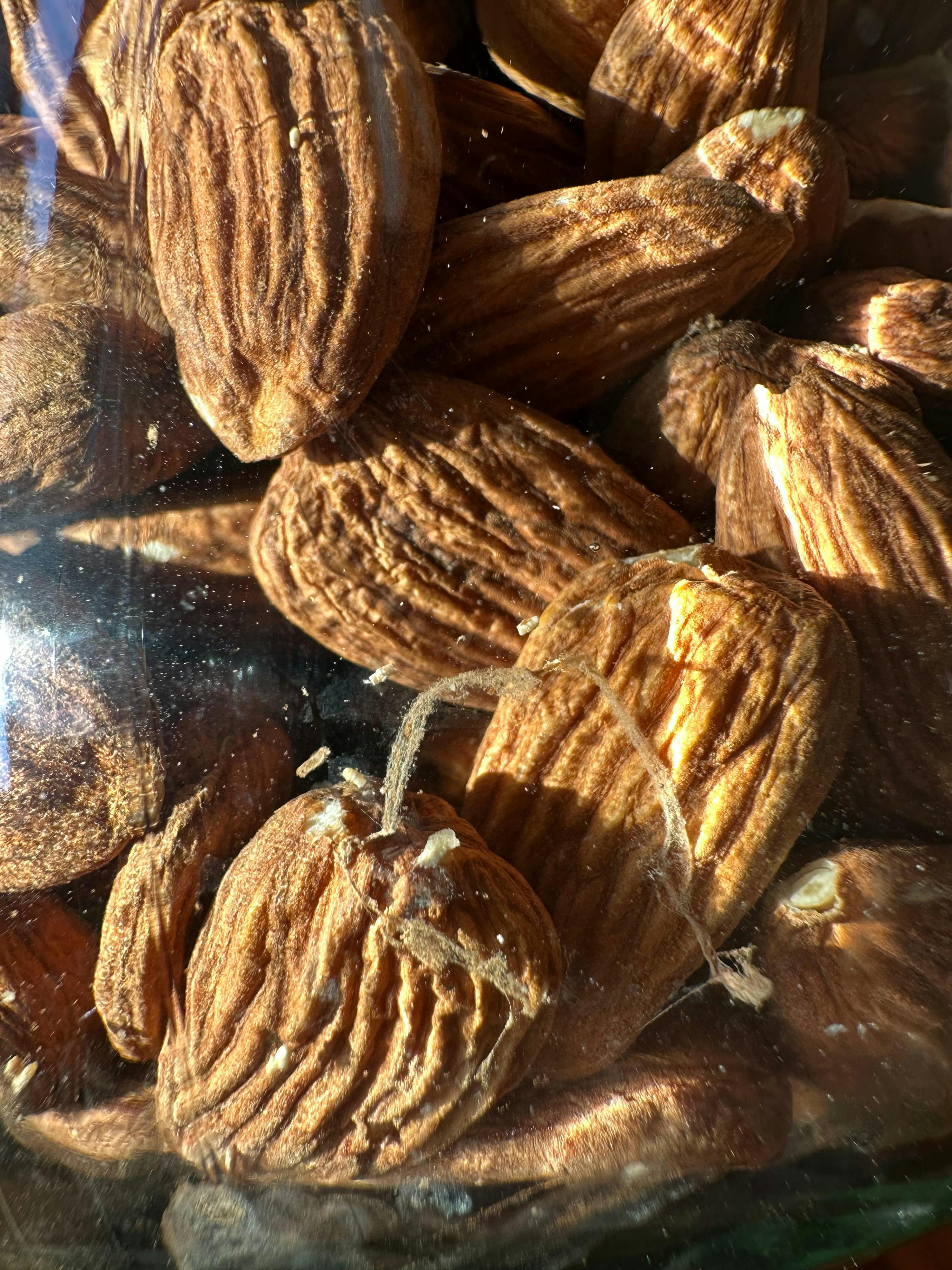 nahaufnahme von gerösteten mandeln mit faltiger textur und hellen flecken, die in einem glasbehälter liegen.