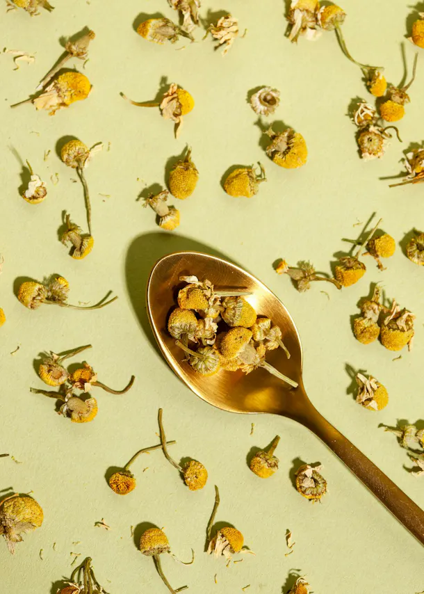 a gold spoon filled with dried flowers on a green background