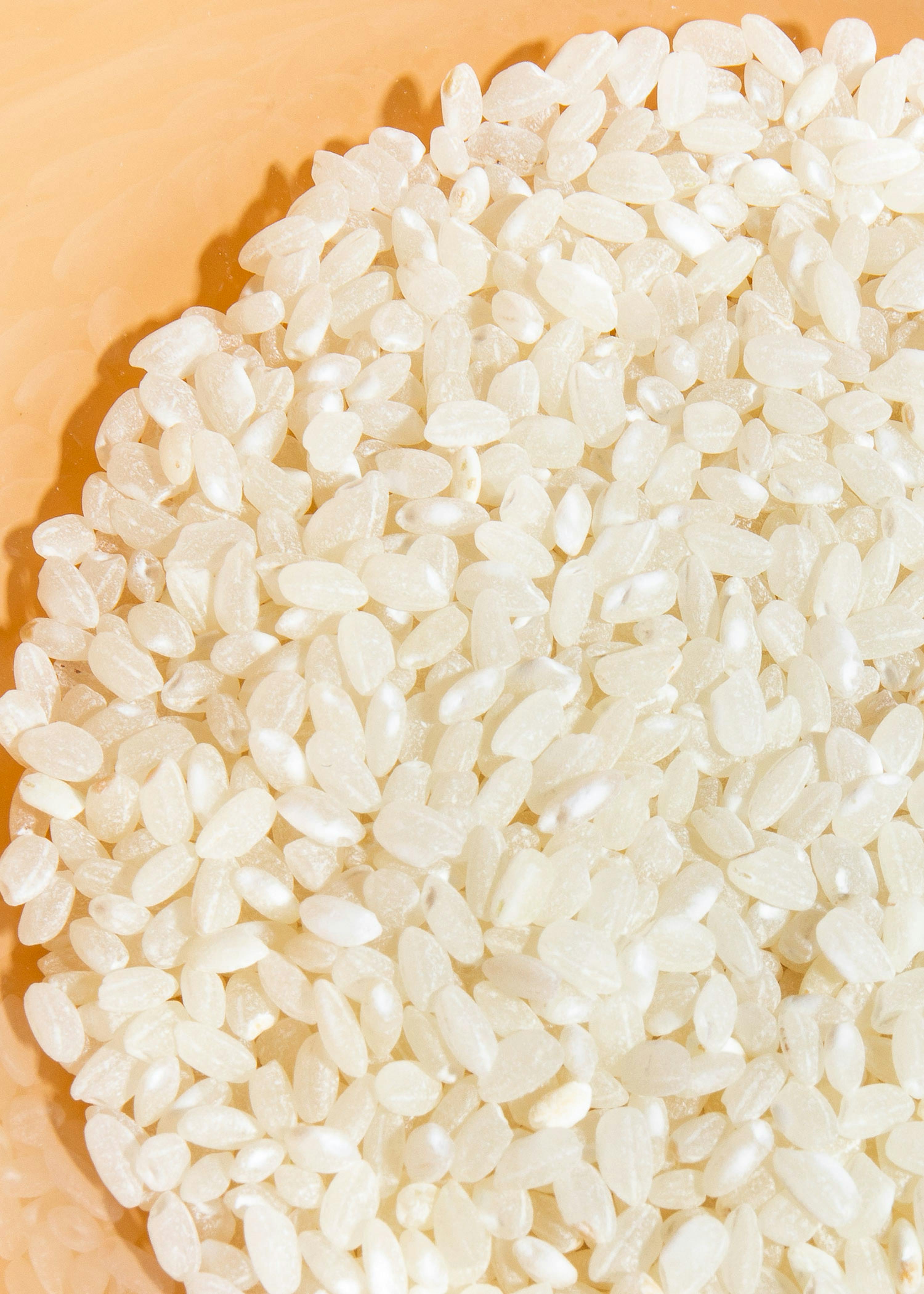 Buy organic top-quality pudding rice